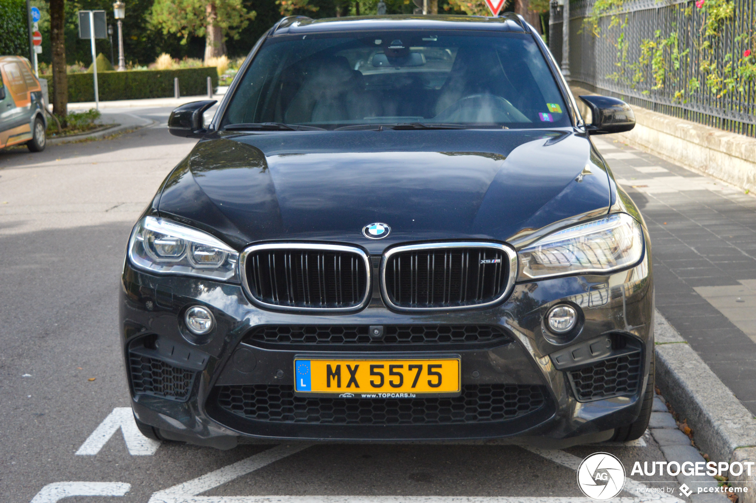 BMW X5 M F85