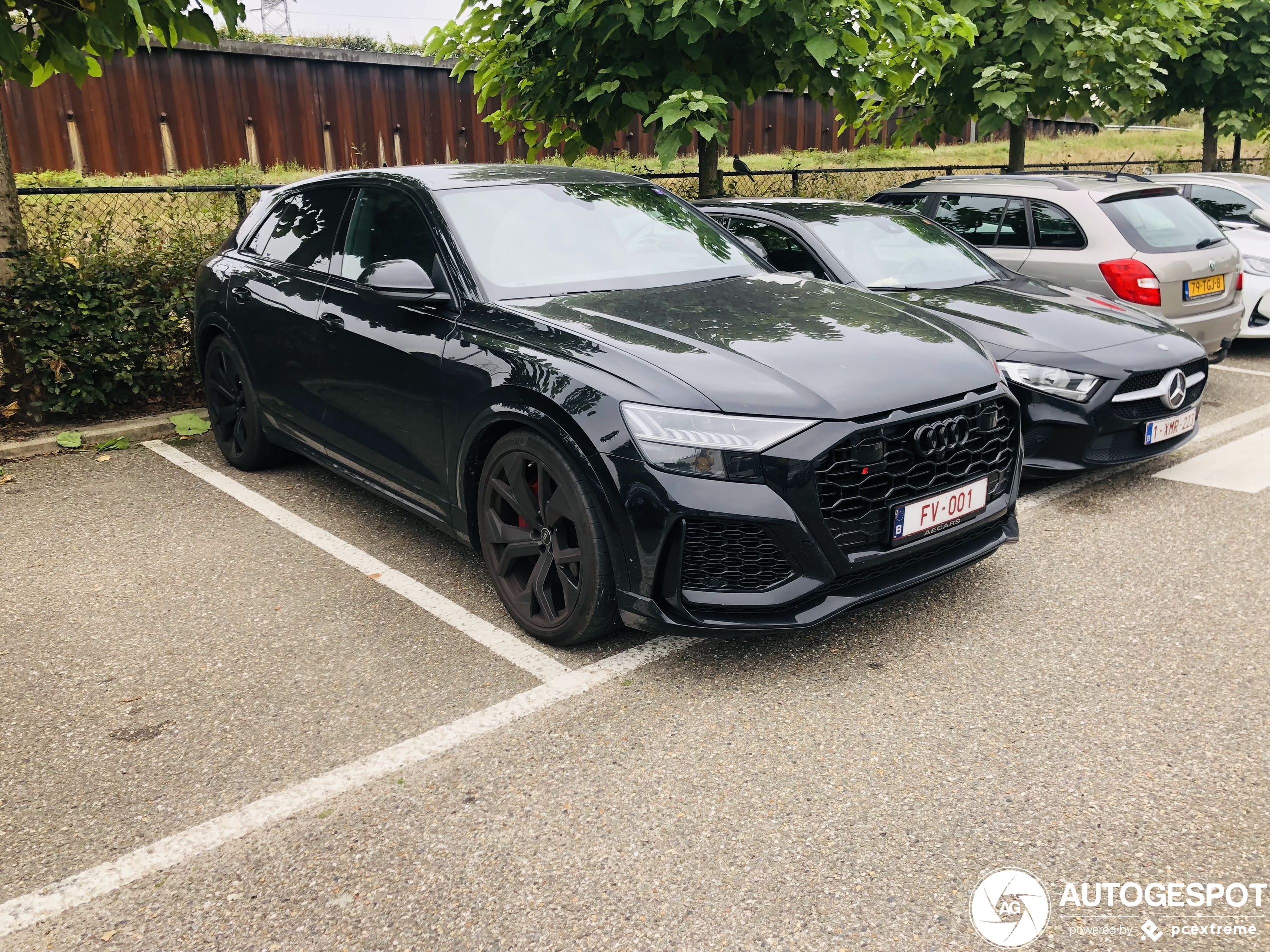 Audi RS Q8