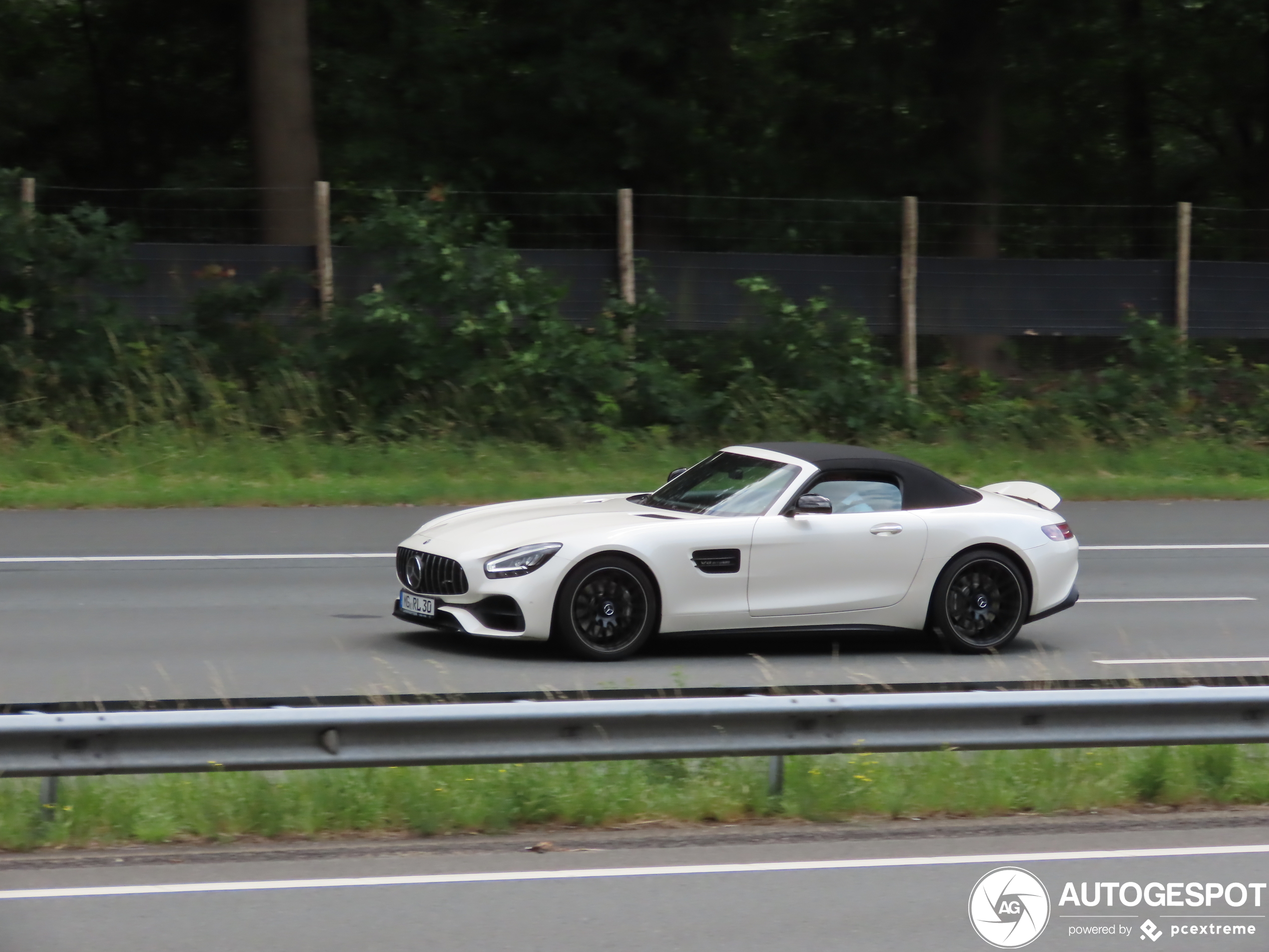 Mercedes-AMG GT Roadster R190 2019