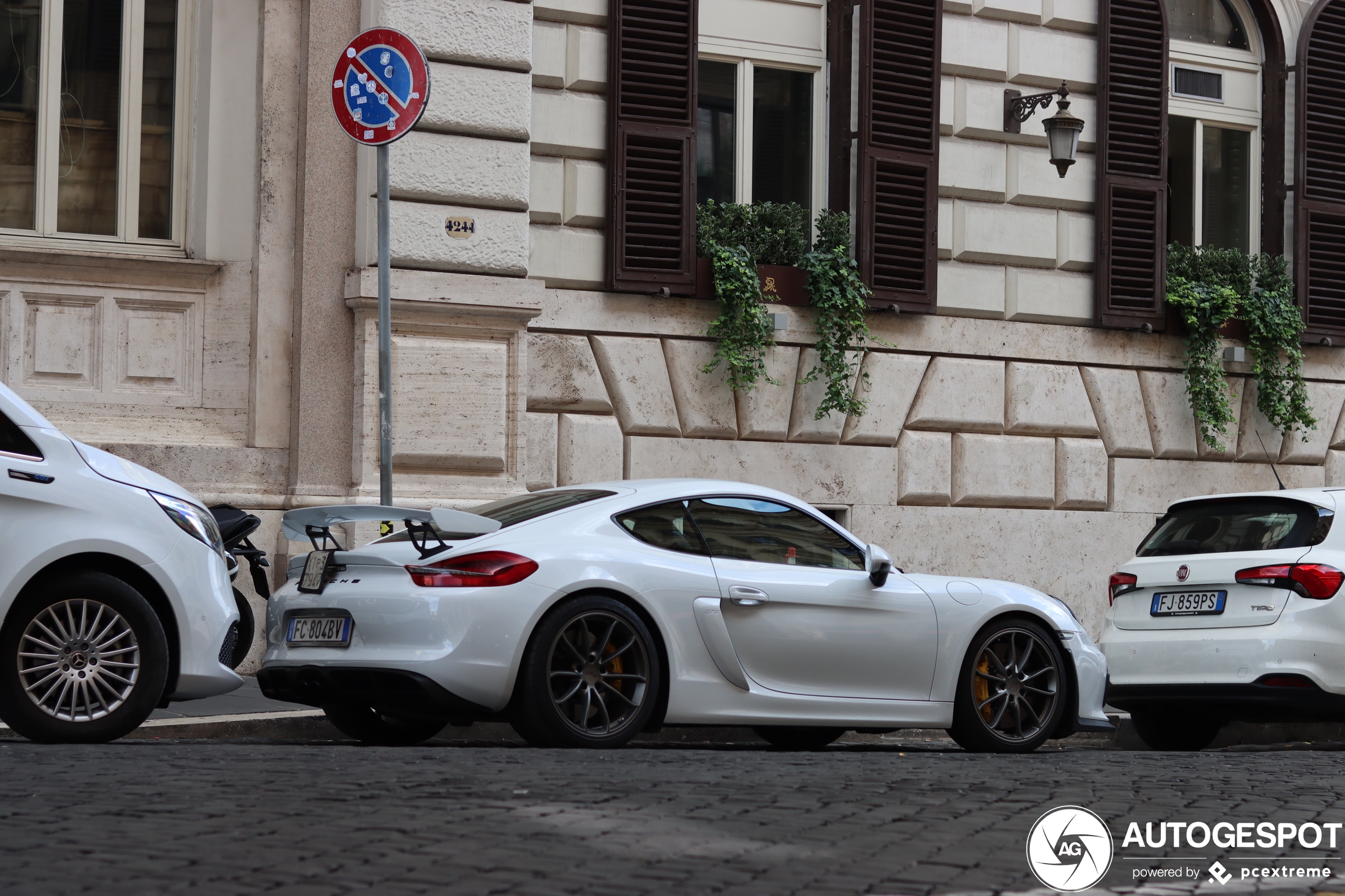 Porsche 981 Cayman GT4