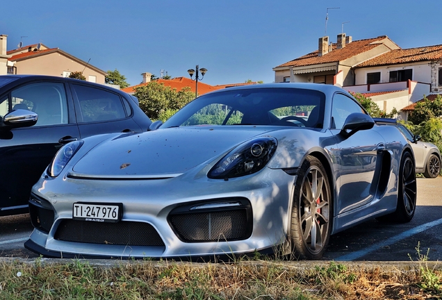 Porsche 981 Cayman GT4