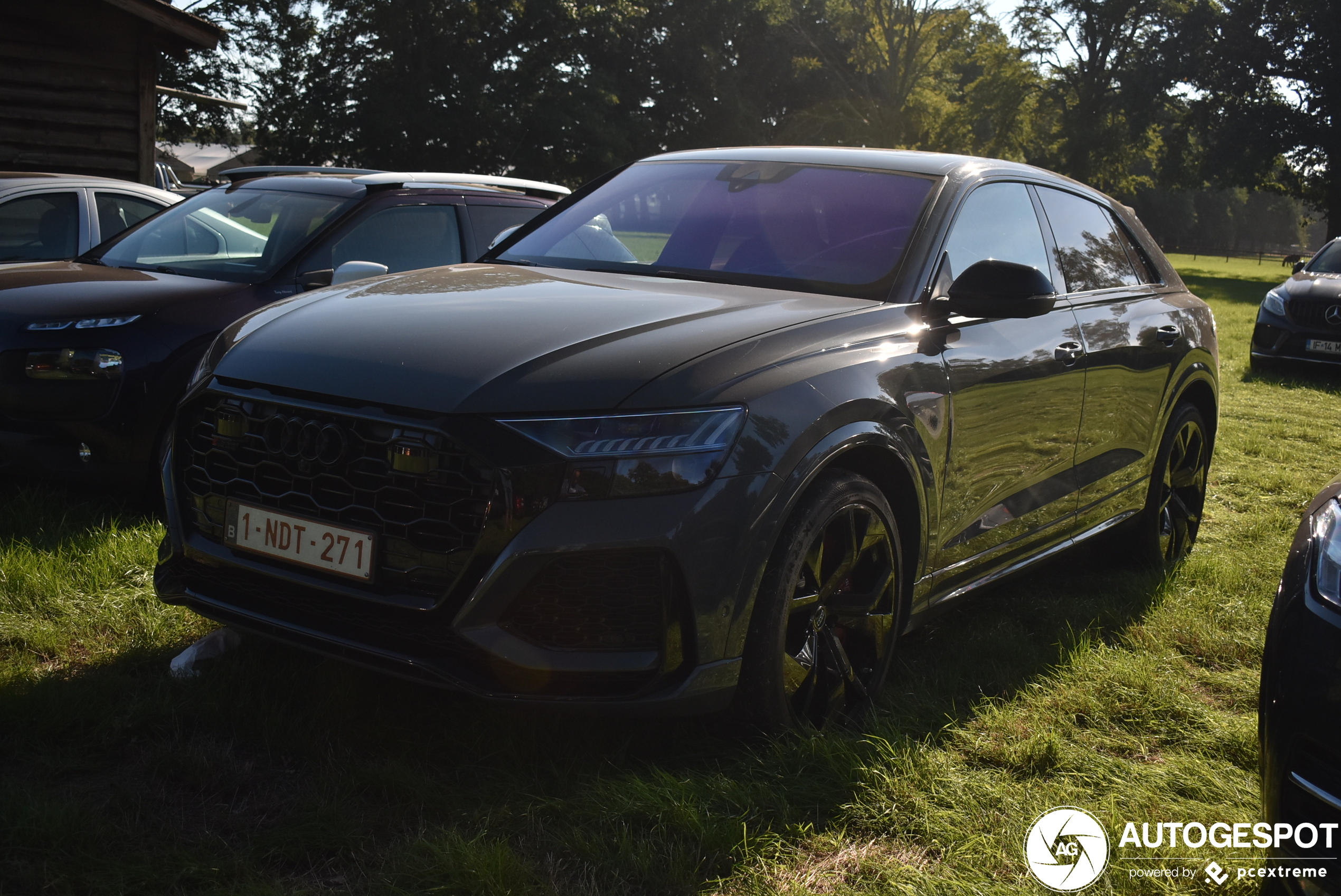 Audi RS Q8