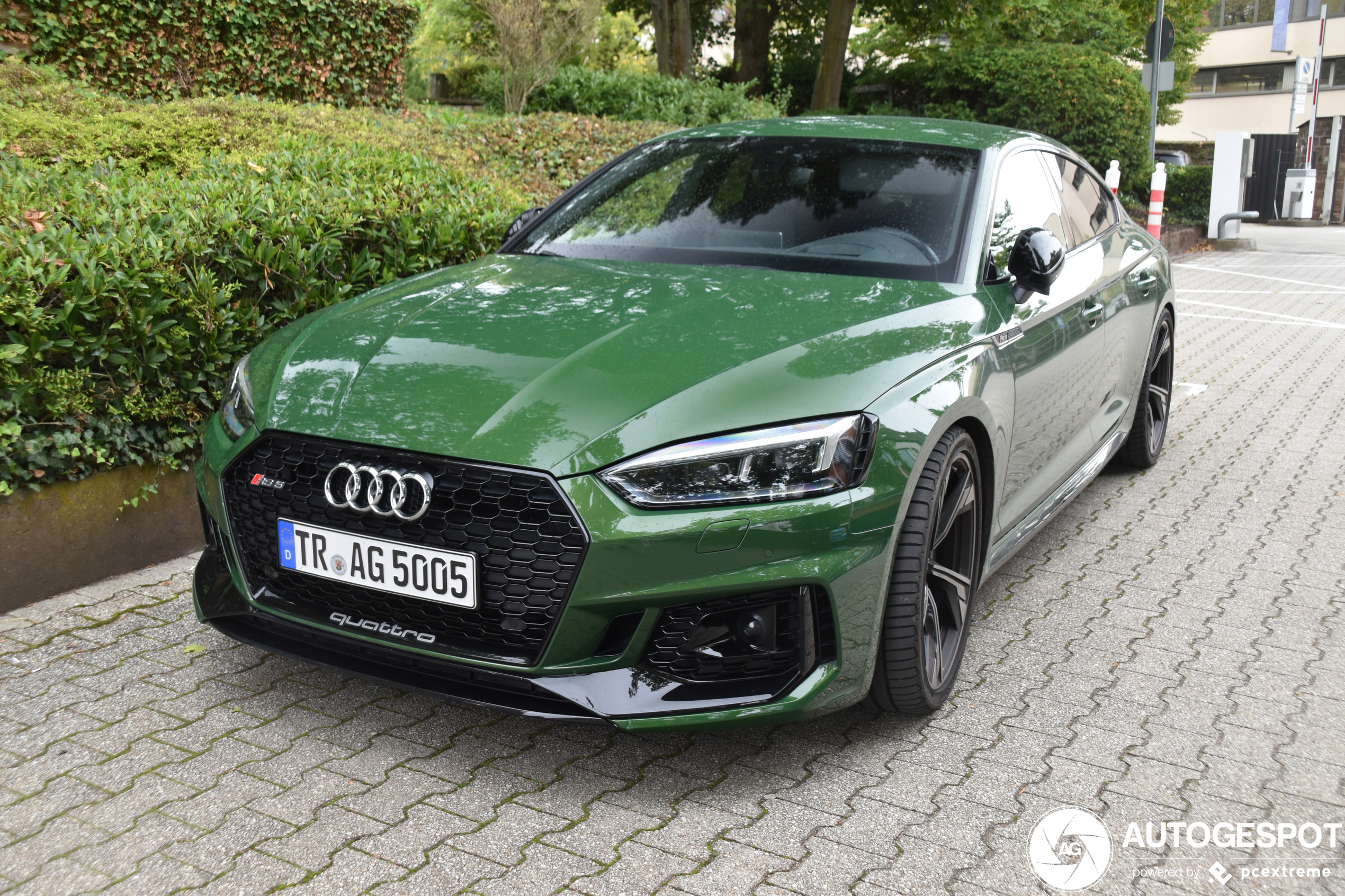 Audi RS5 Sportback B9