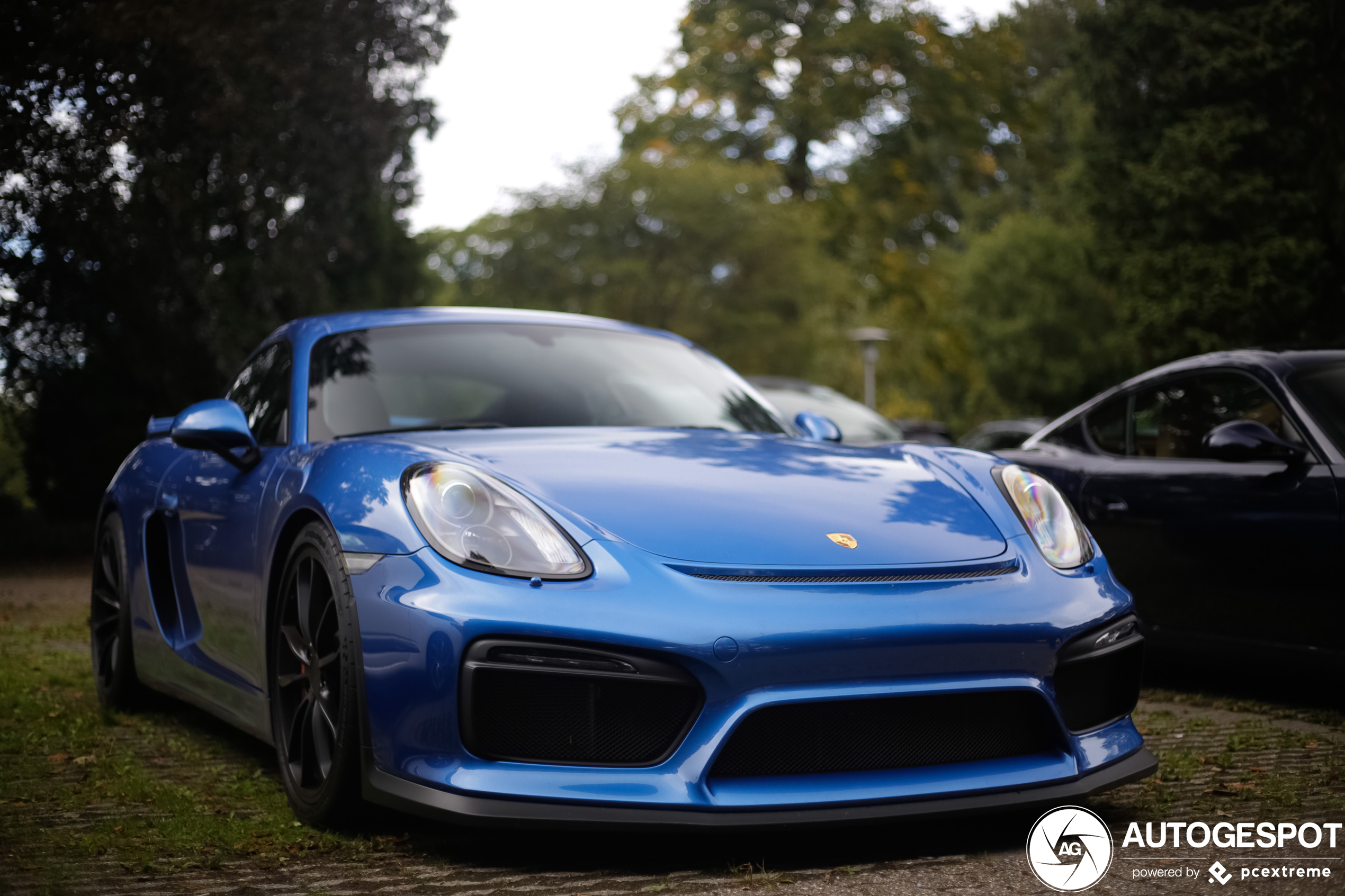 Porsche 981 Cayman GT4