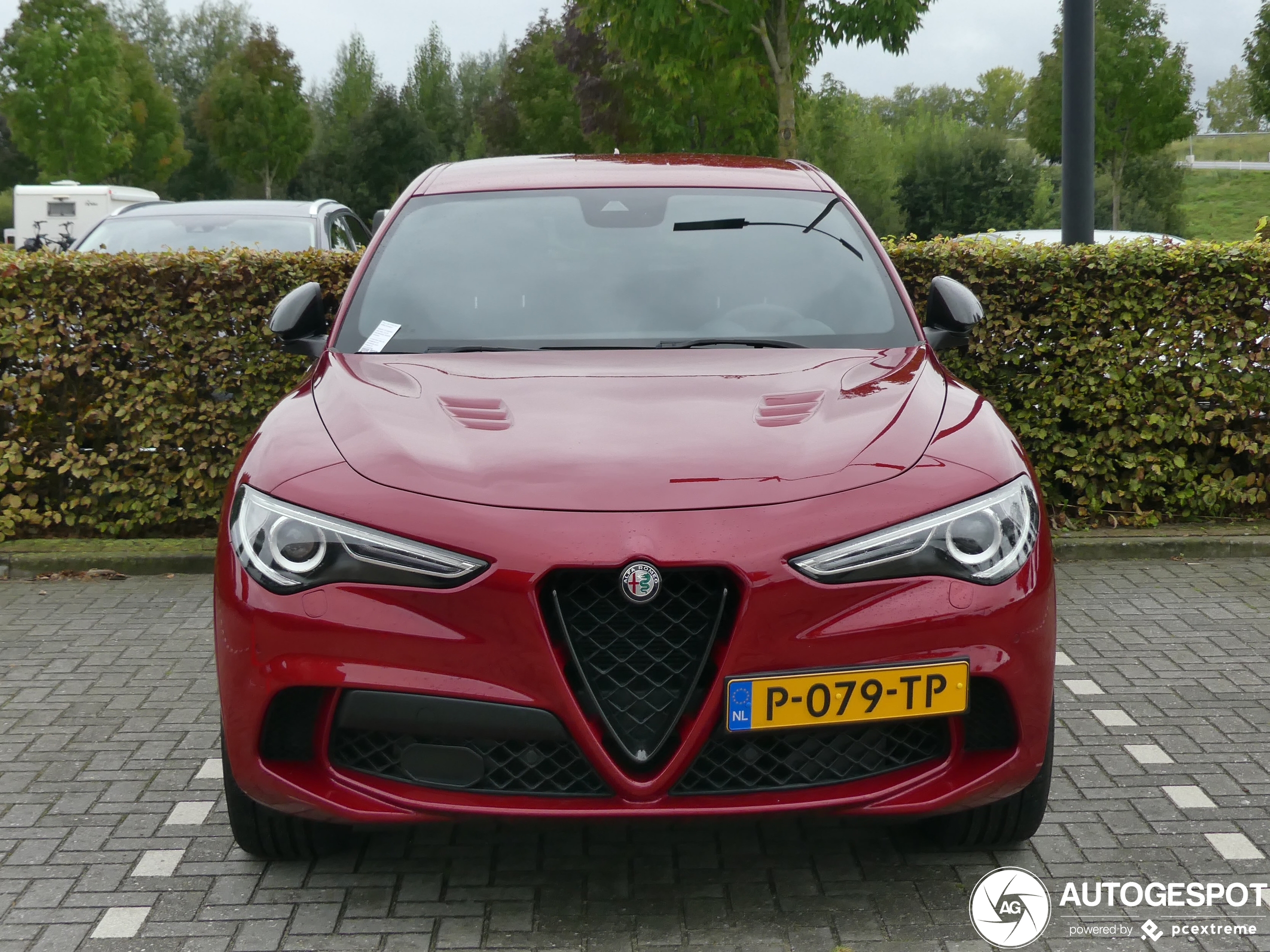 Alfa Romeo Stelvio Quadrifoglio