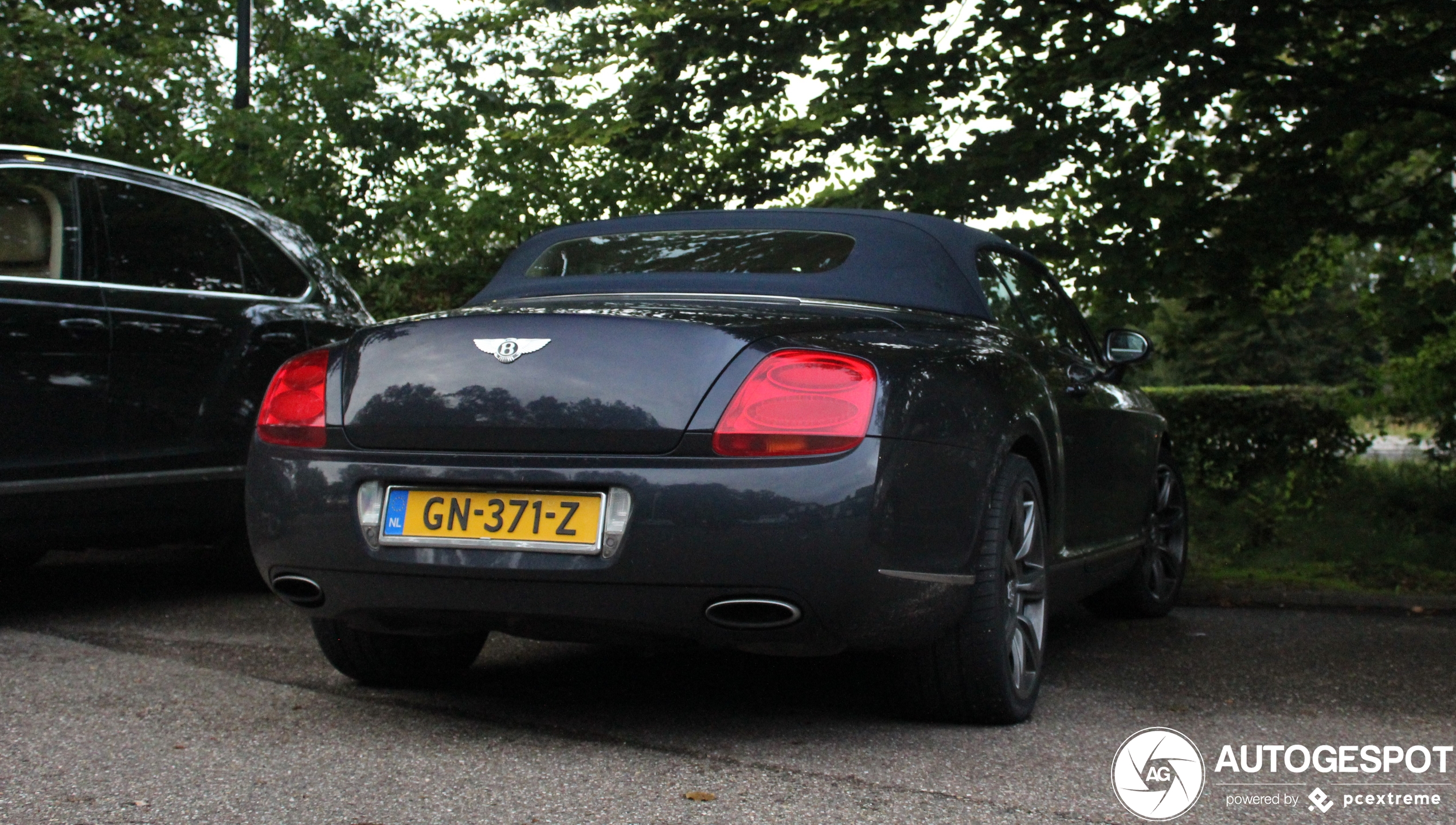 Bentley Continental GTC