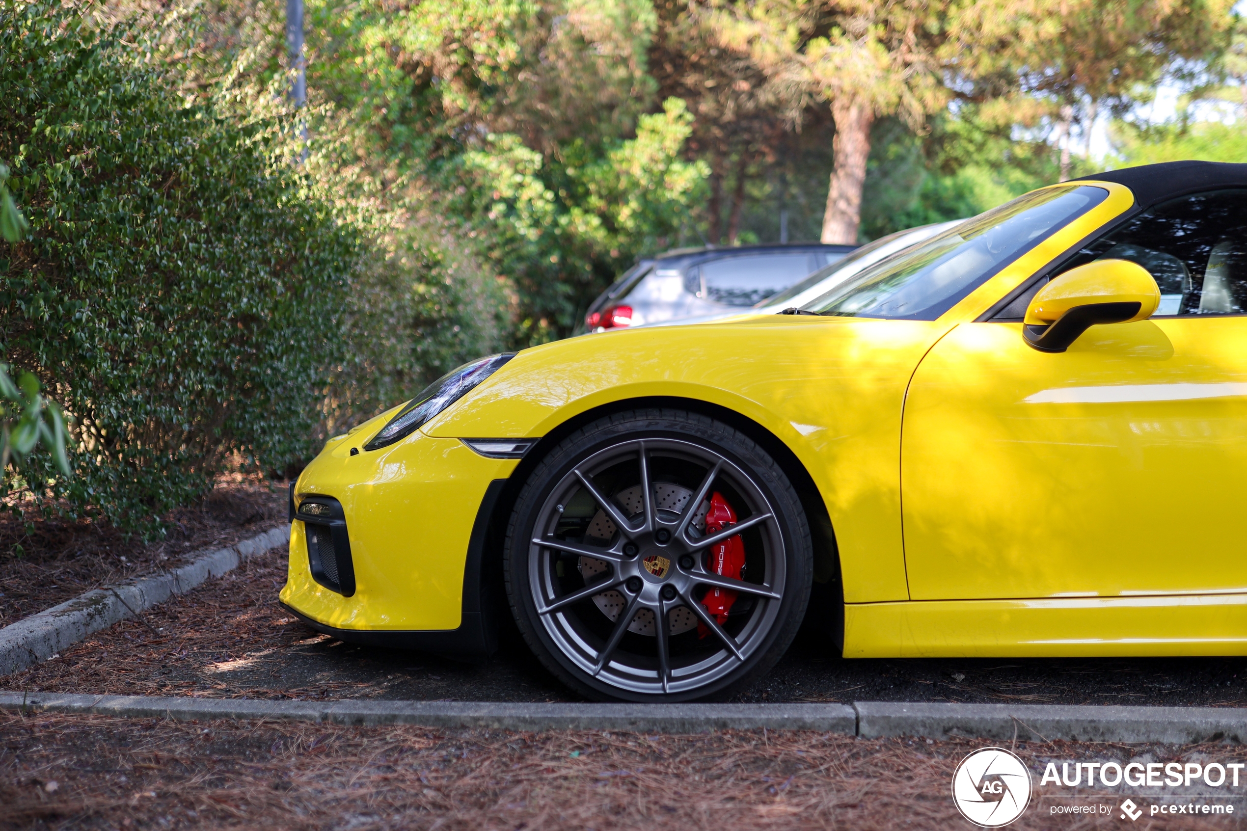 Porsche 981 Boxster Spyder