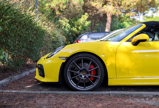 Porsche 981 Boxster Spyder