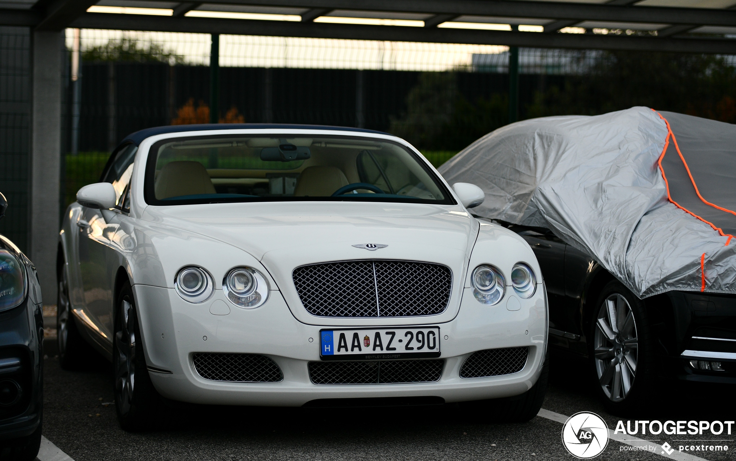 Bentley Continental GTC