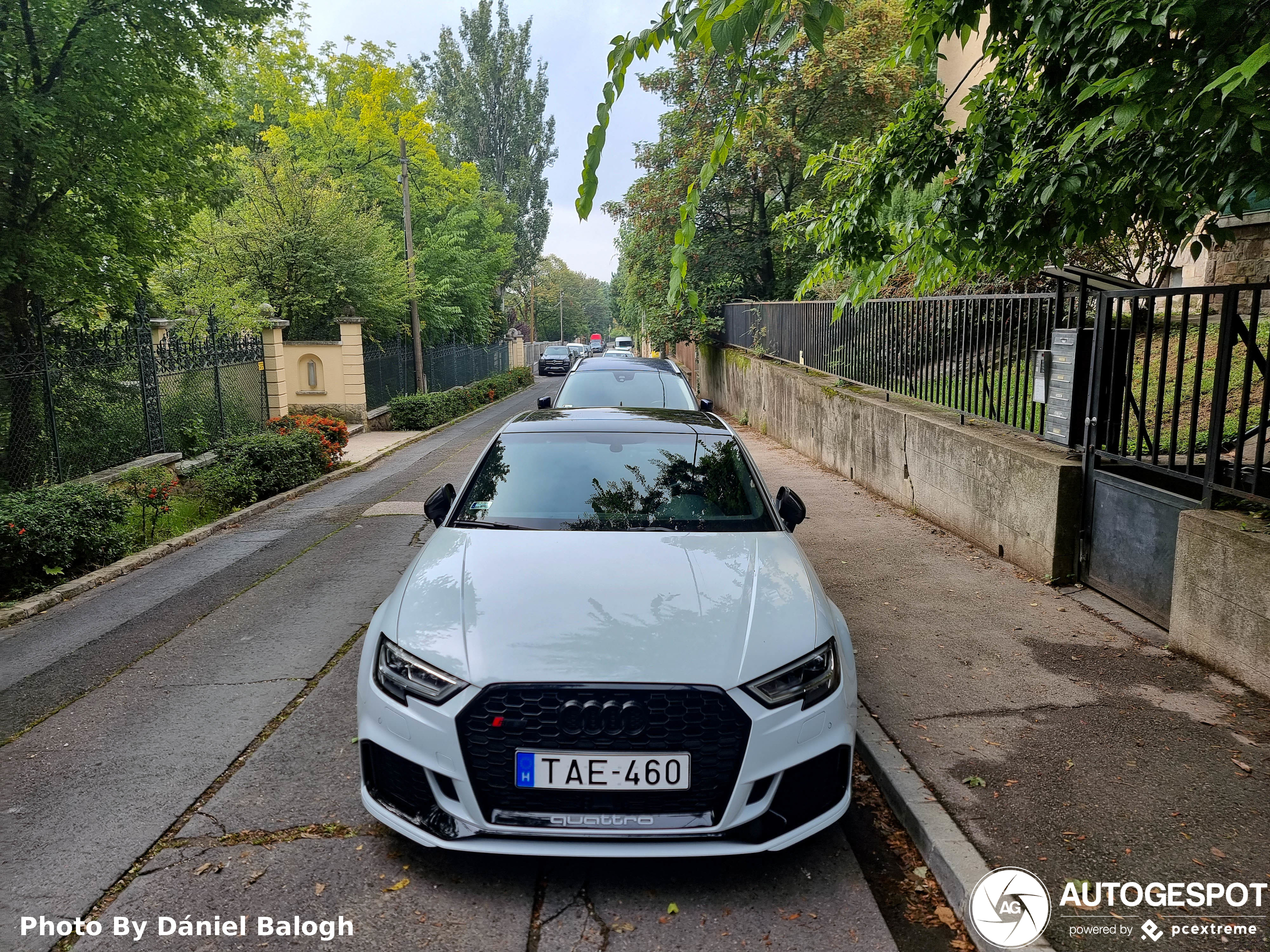 Audi RS3 Sedan 8V