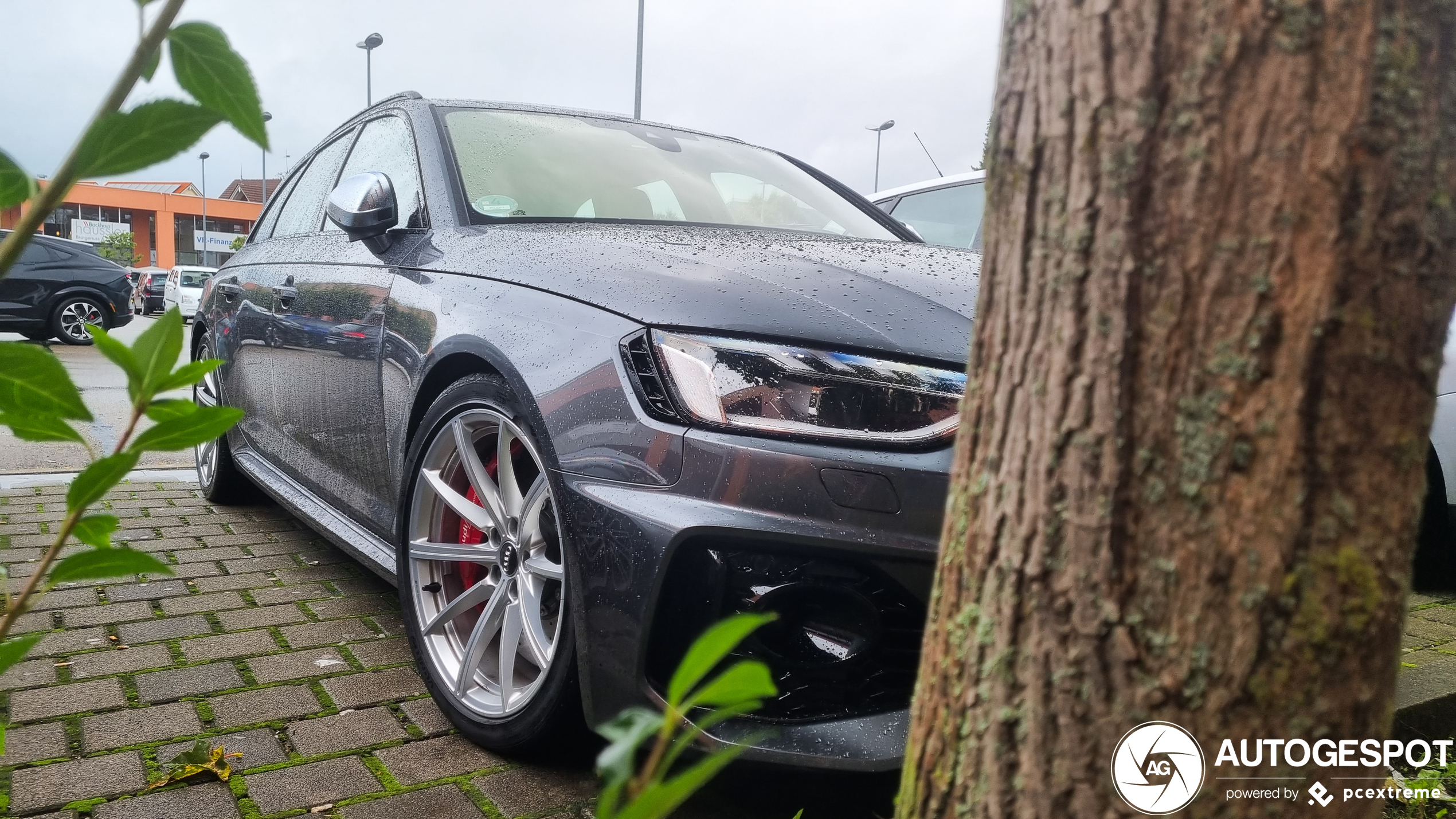 Audi RS4 Avant B9 2020