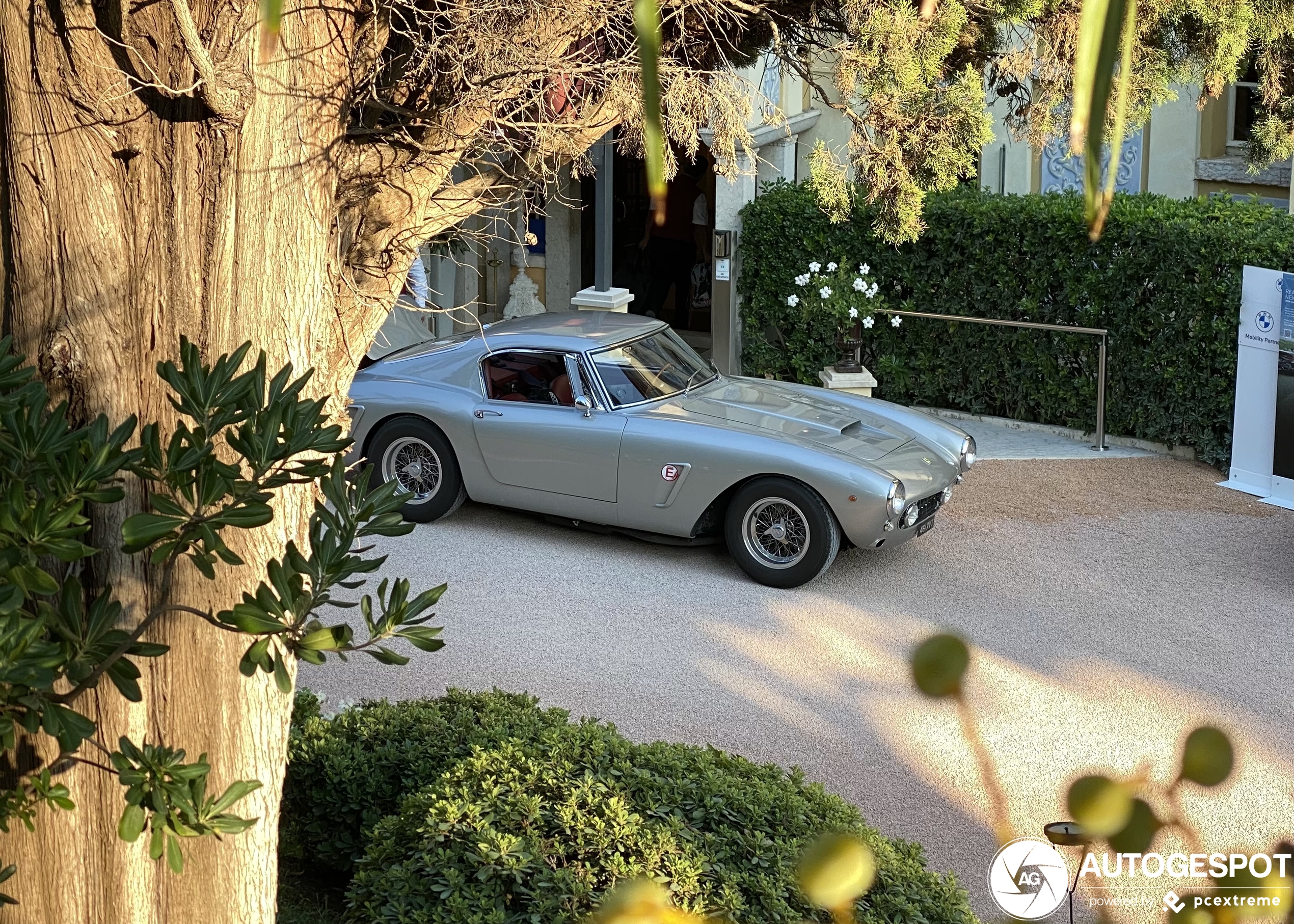 Ferrari 250 GT SWB Berlinetta