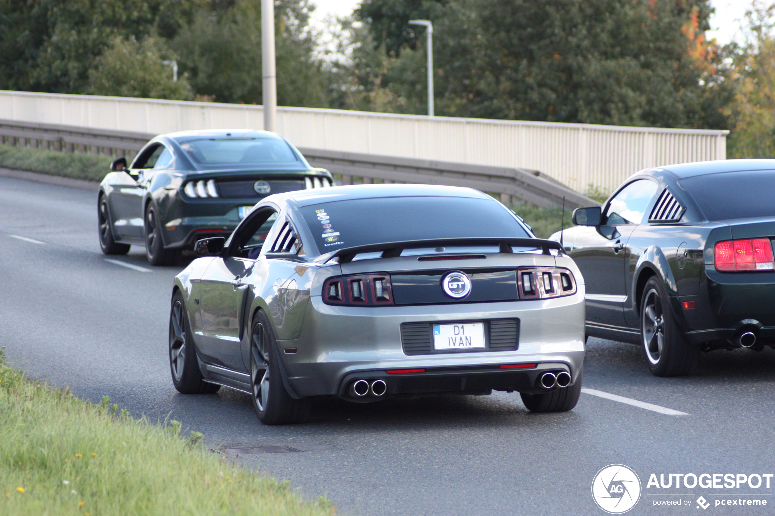 Ford Mustang GT California Special 2013