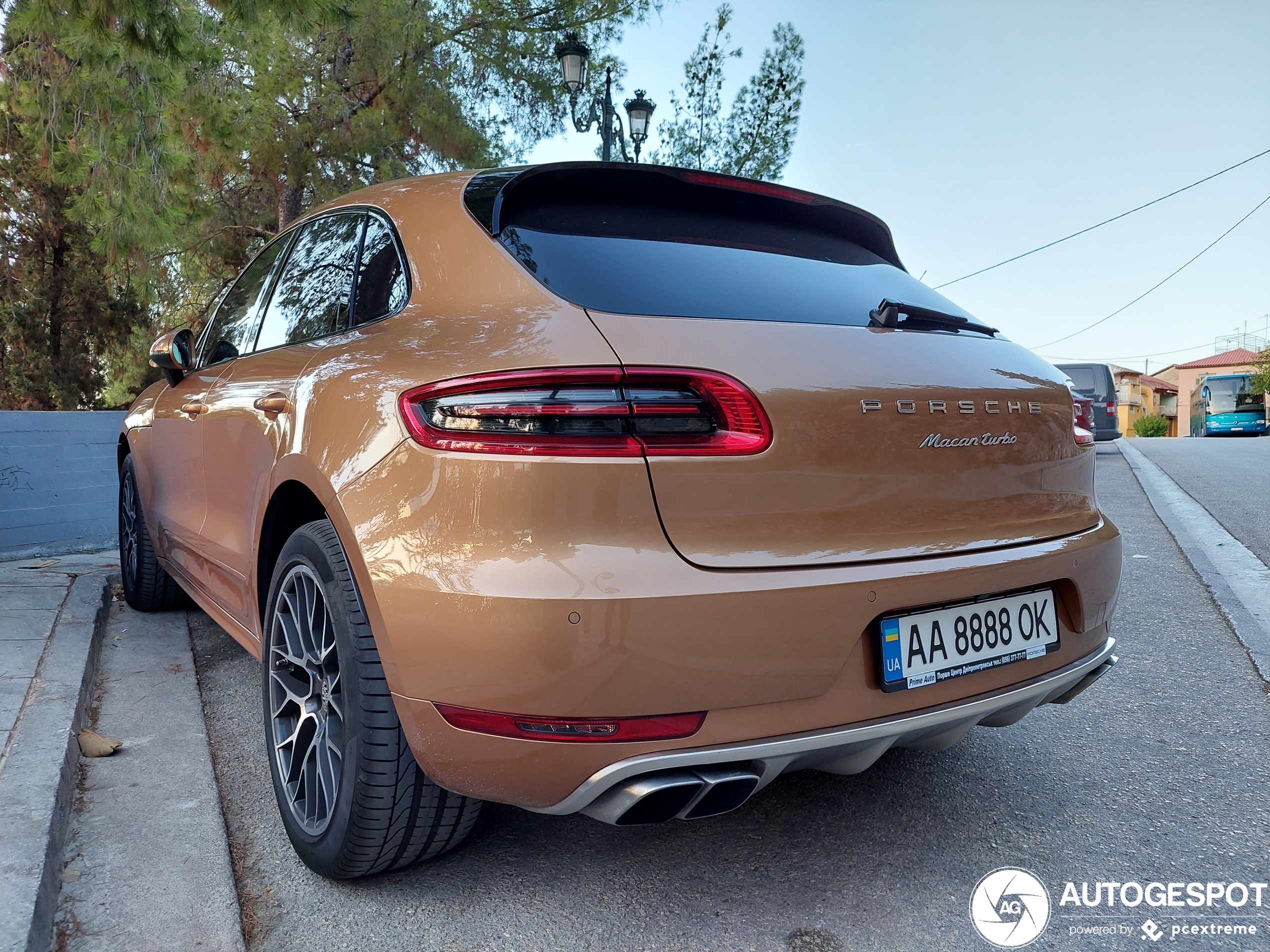 Ook deze bruine Macan heeft Oekraïne moeten verlaten