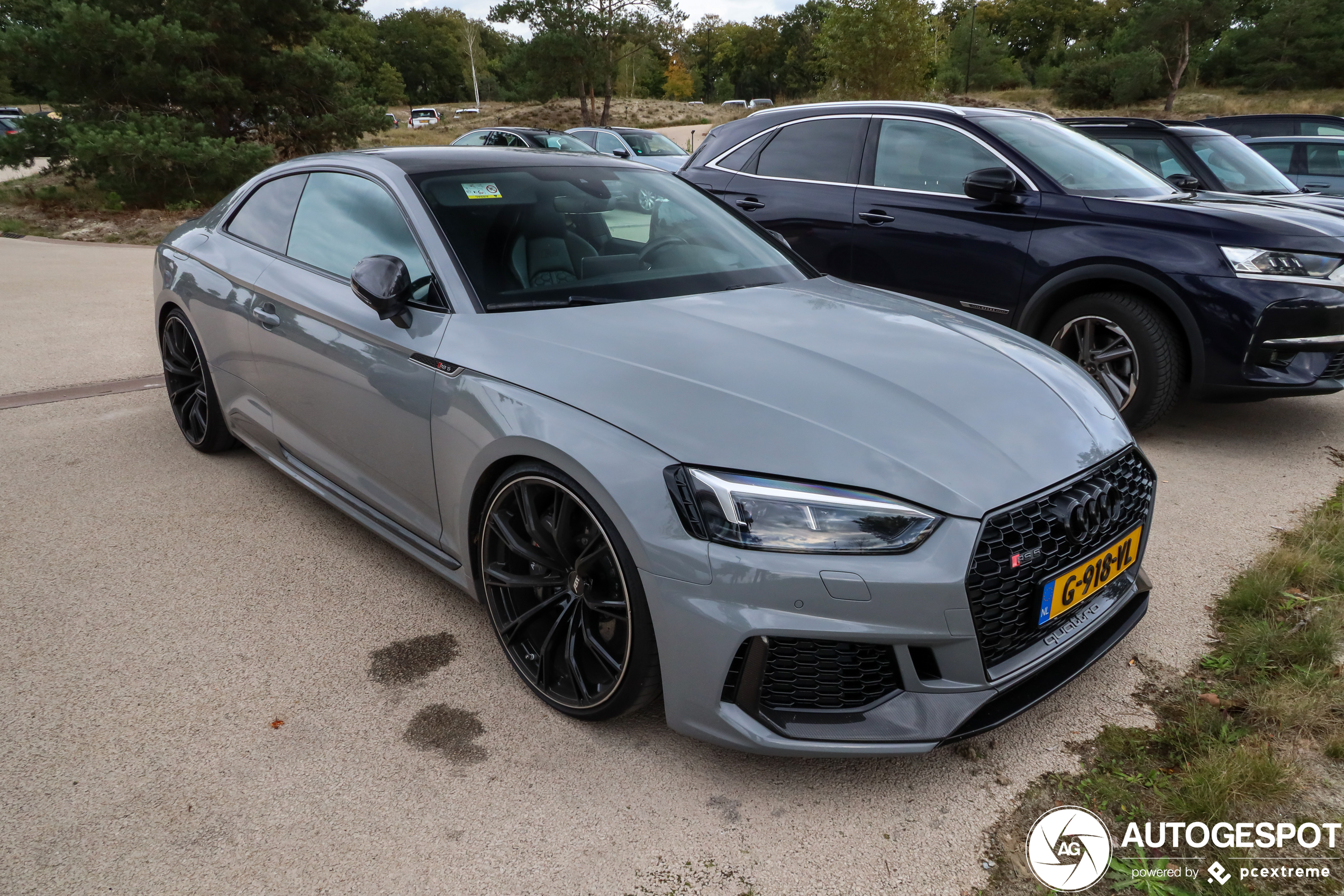 Audi RS5 B9