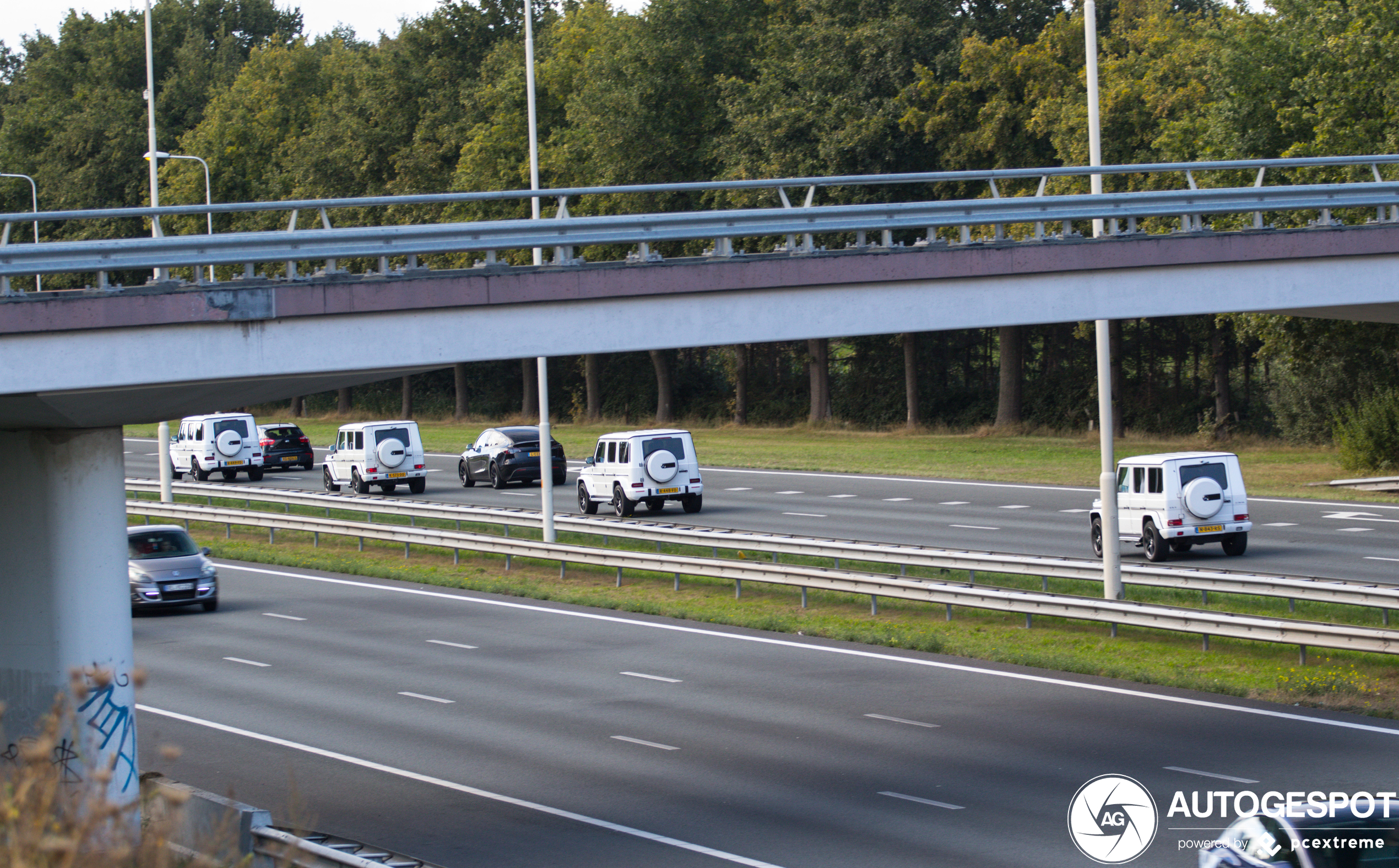 Heerlijke trouwstoet van Mercedes-Benz G 63 AMG's