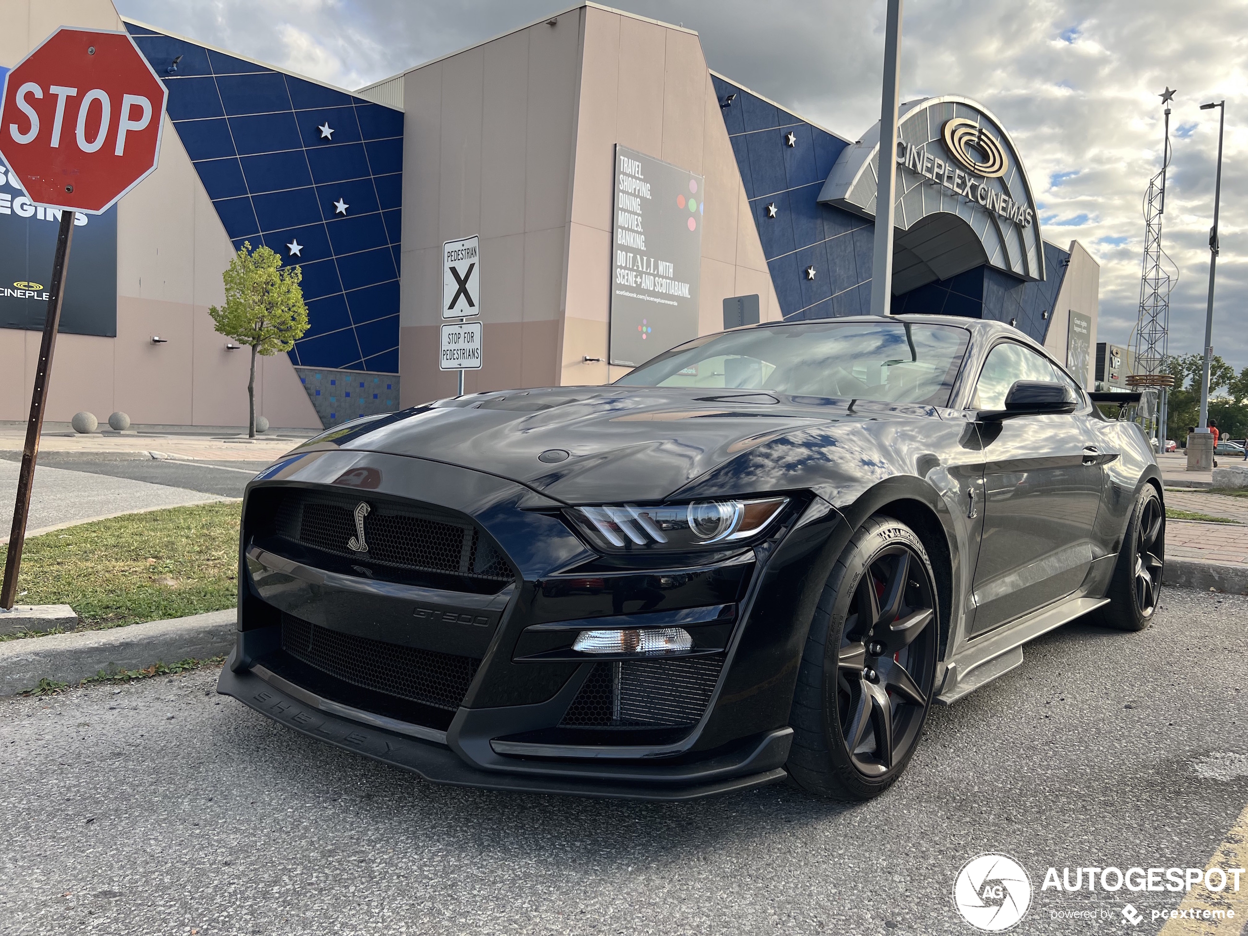 Ford Mustang Shelby GT500 2020