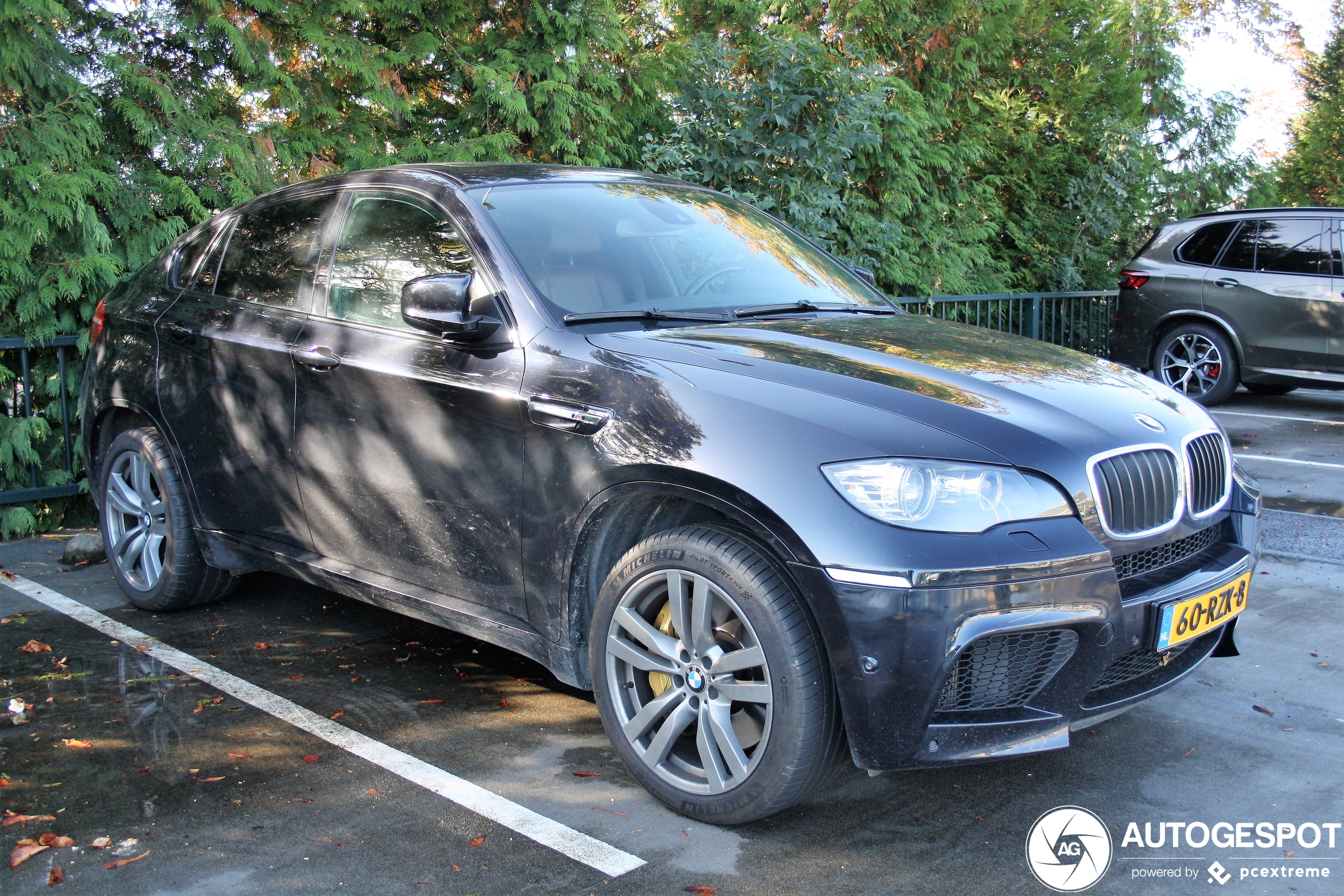 BMW X6 M E71