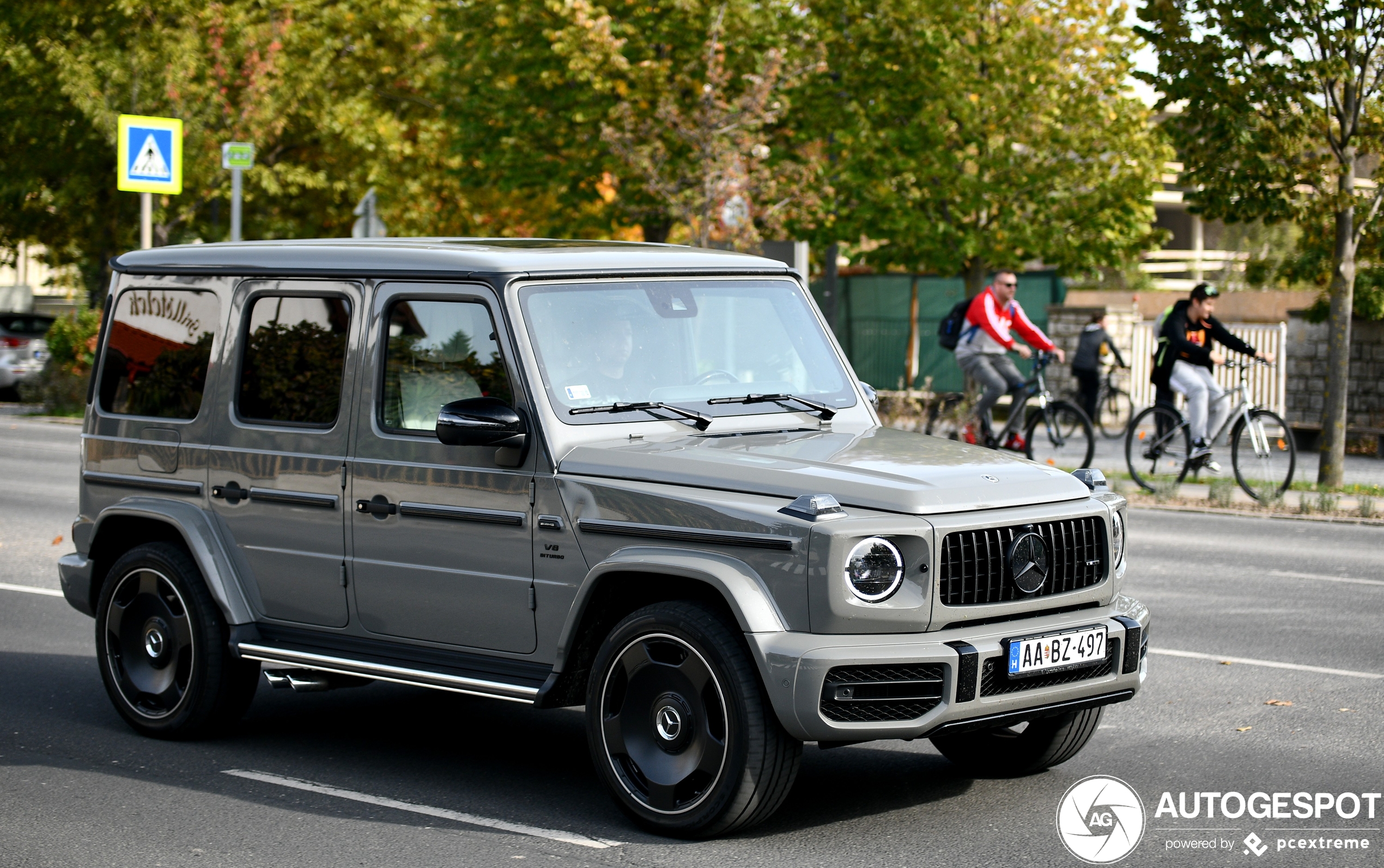 Mercedes-AMG G 63 W463 2018