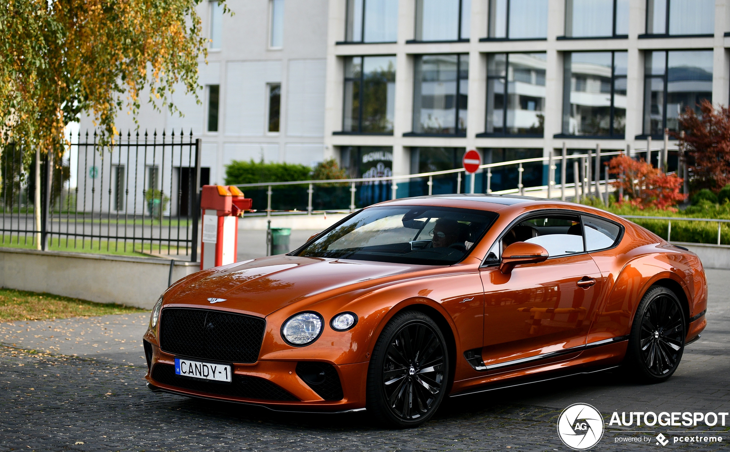 Bentley Continental GT Speed 2021