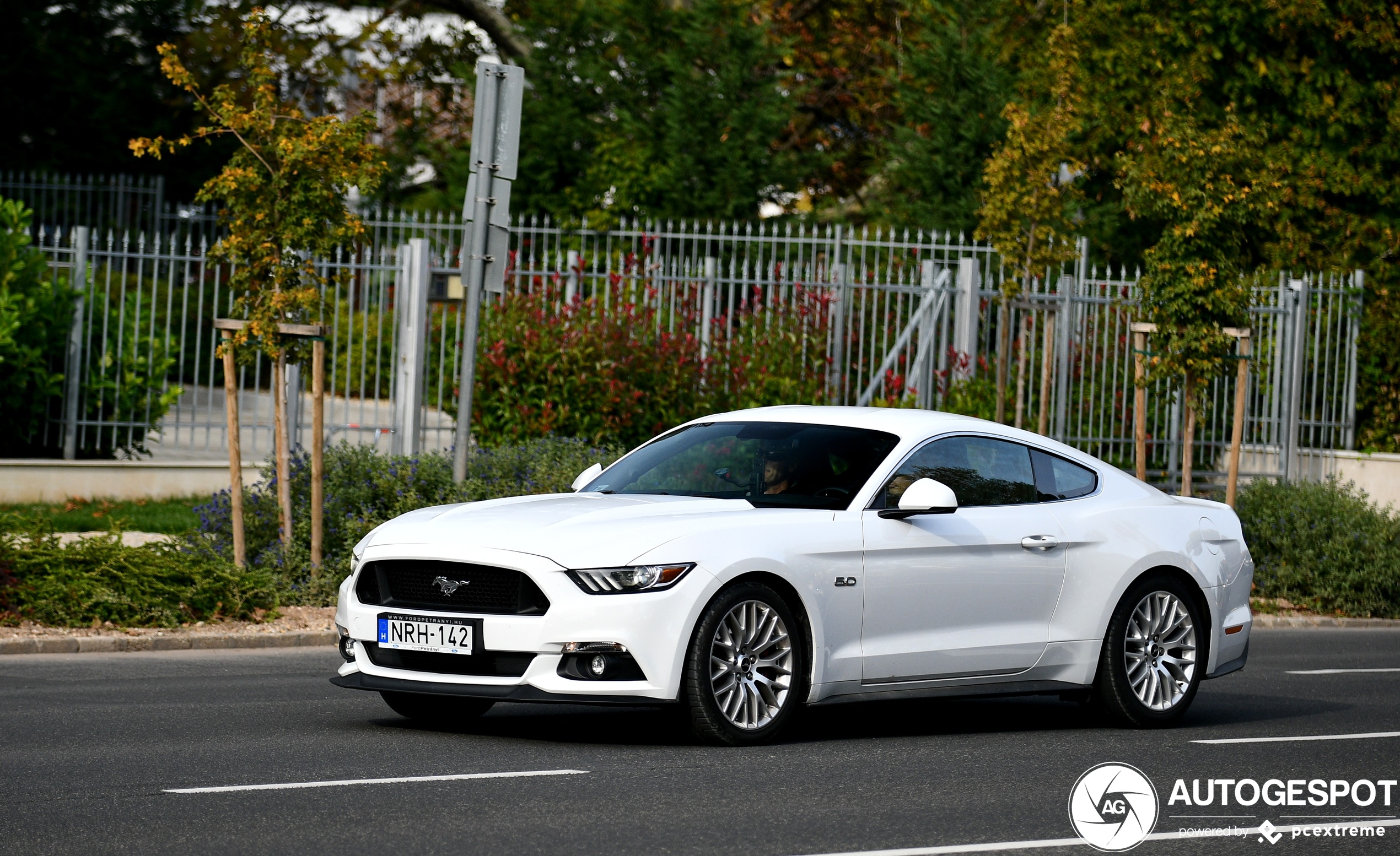 Ford Mustang GT 2015