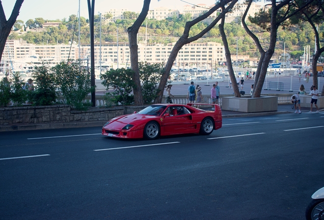 Ferrari F40