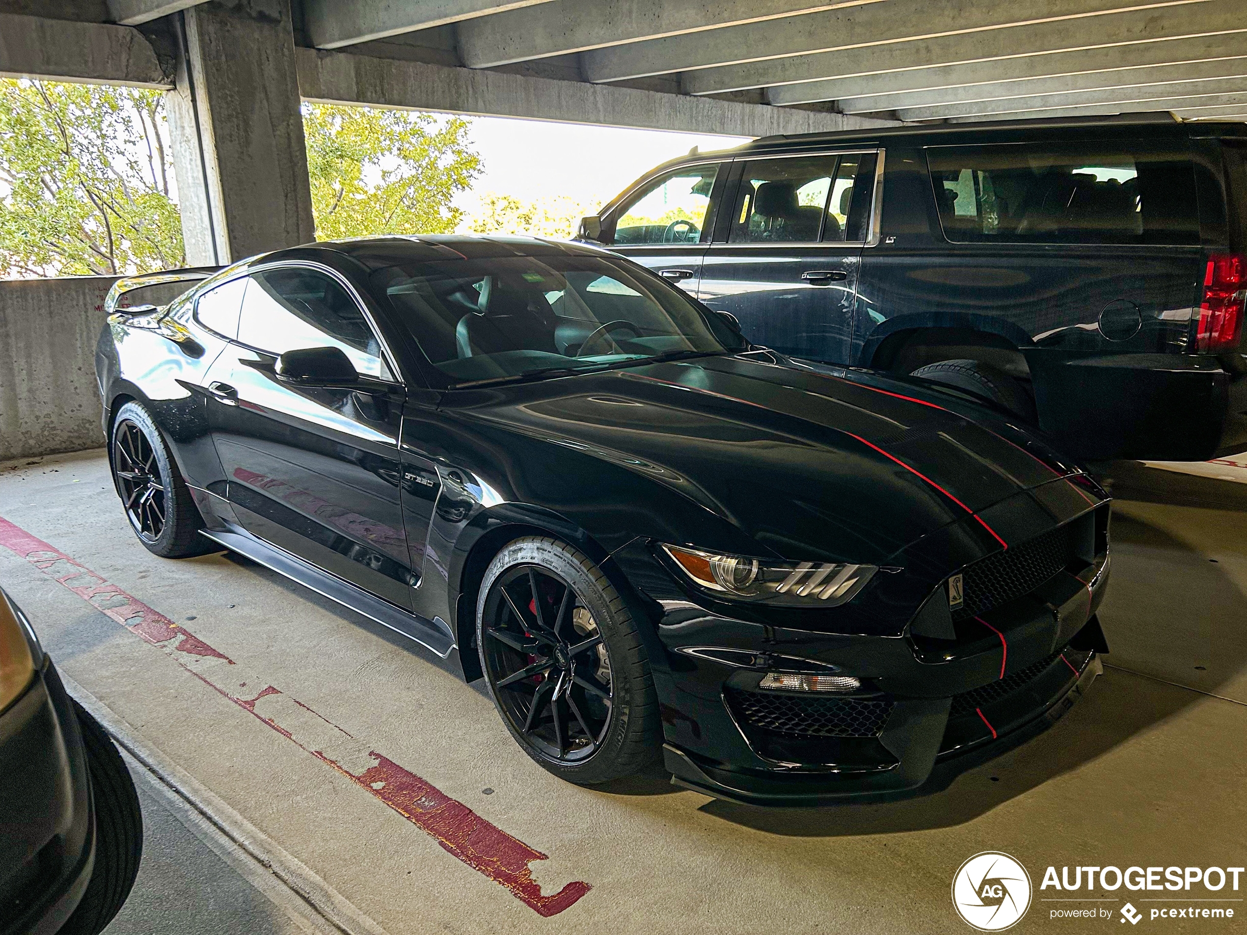 Ford Mustang Shelby GT350 2015