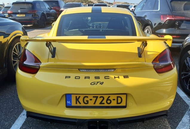 Porsche 981 Cayman GT4