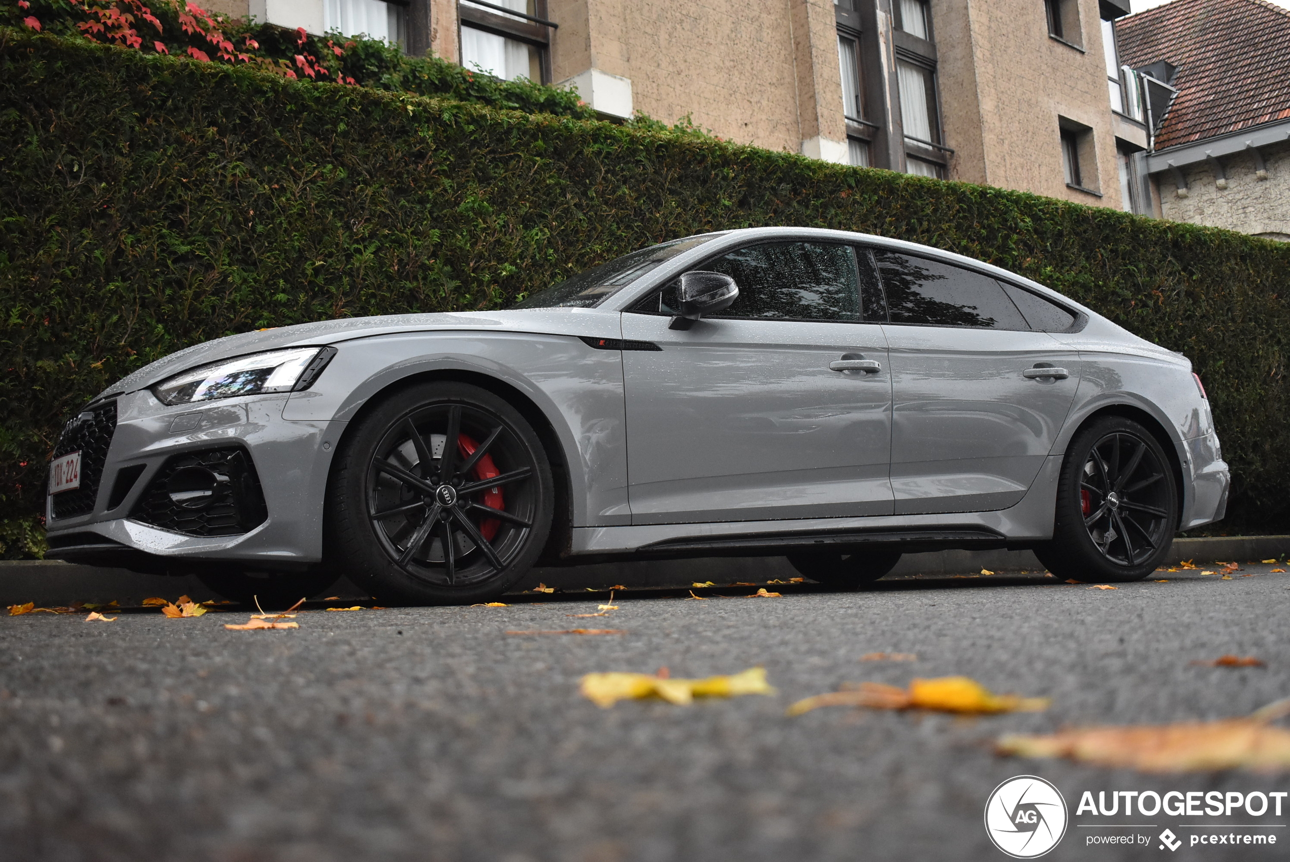 Audi RS5 Sportback B9 2021