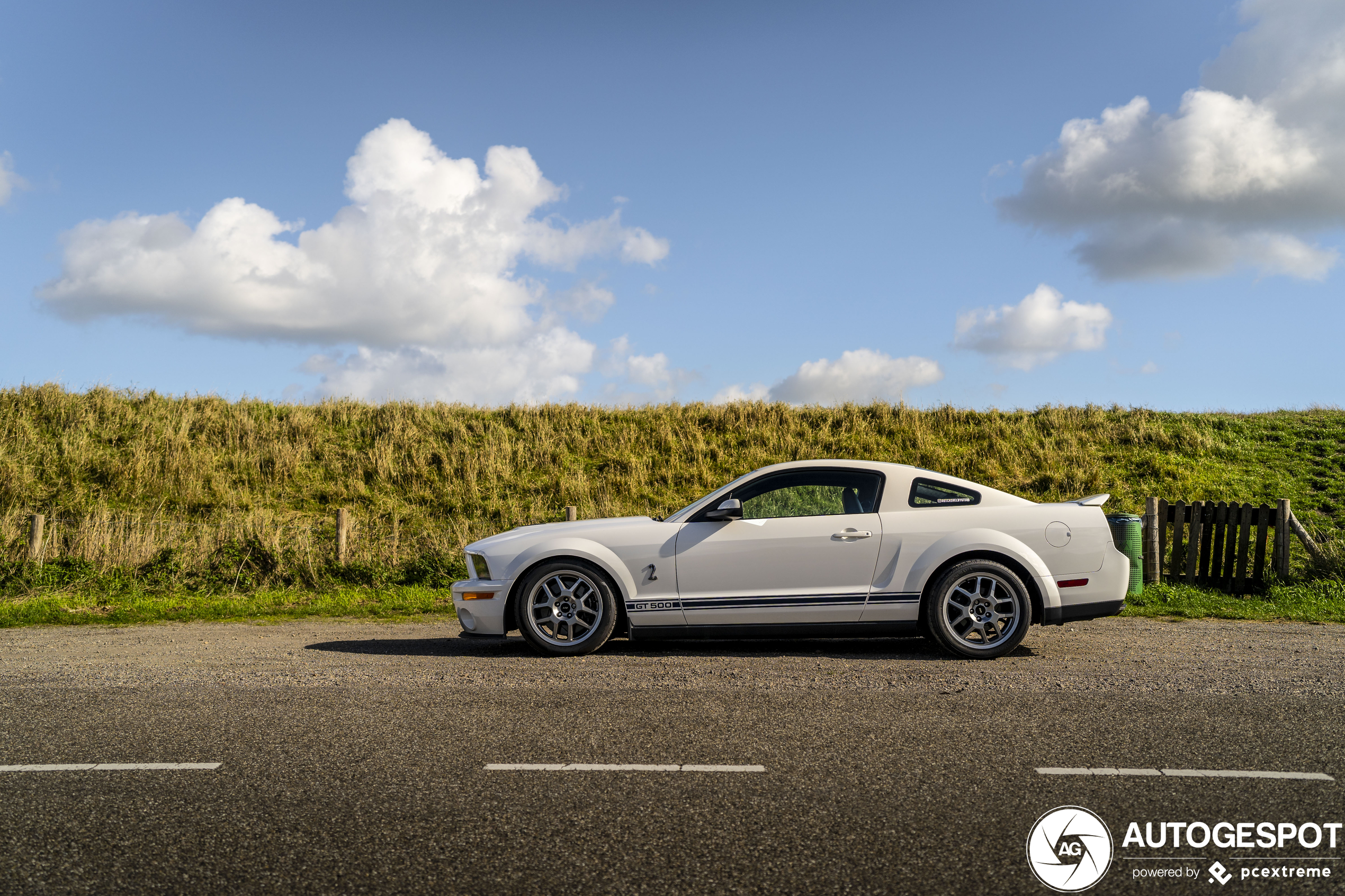 Shelby GT500 geniet van het laatste zomerzonnetje