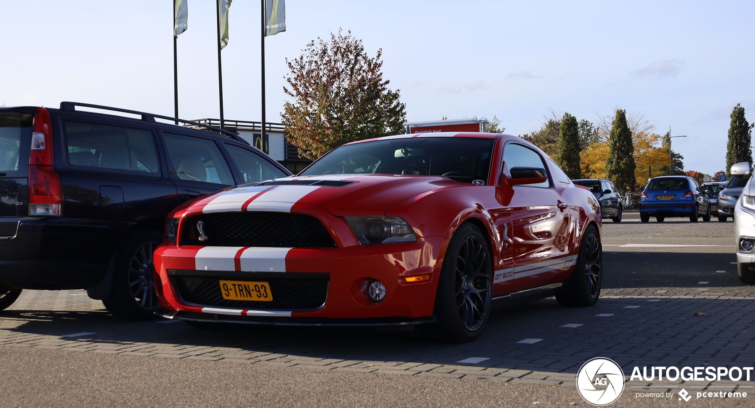 Ford Mustang Shelby GT500 2010