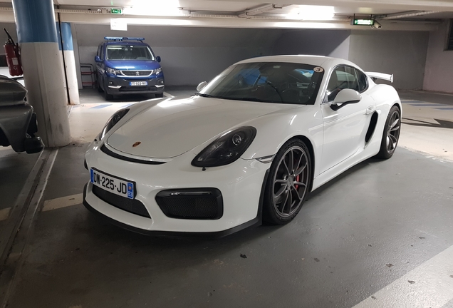 Porsche 981 Cayman GT4