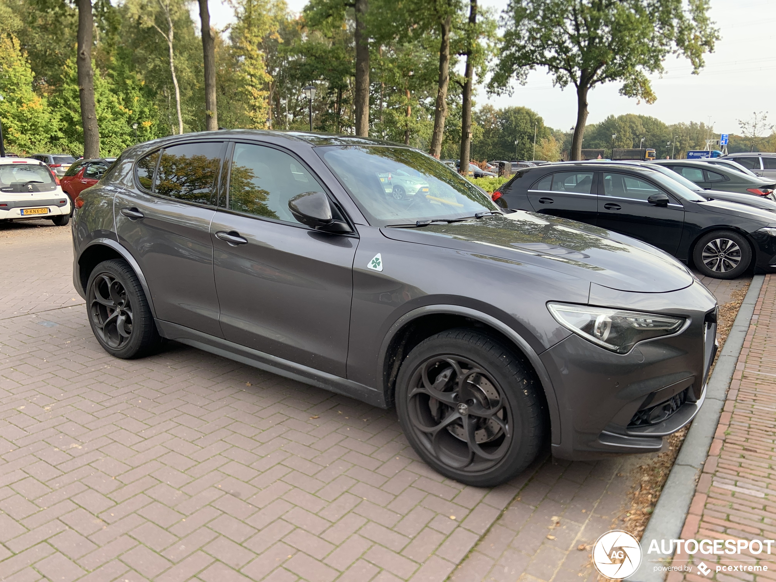 Alfa Romeo Stelvio Quadrifoglio