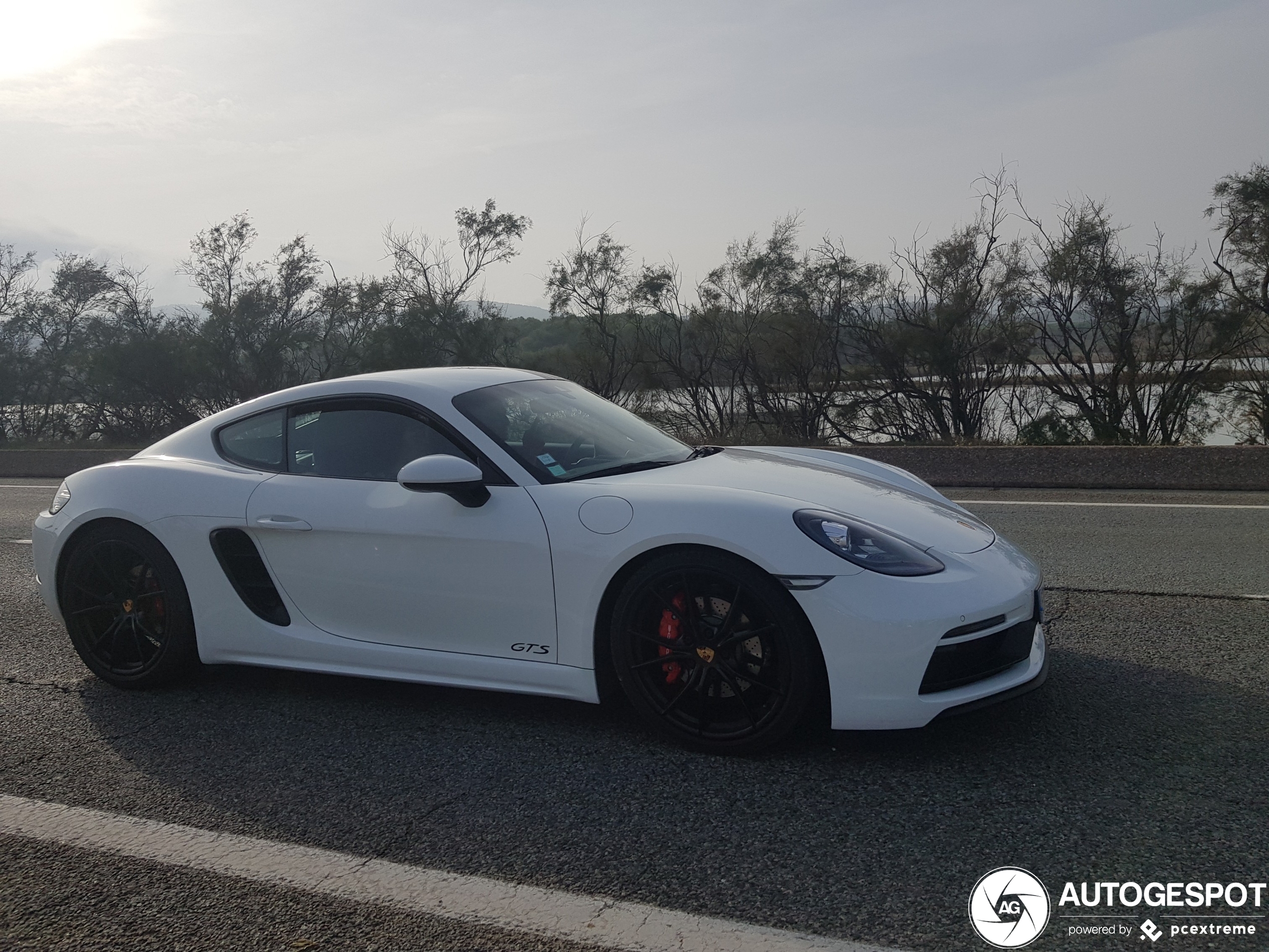 Porsche 718 Cayman GTS