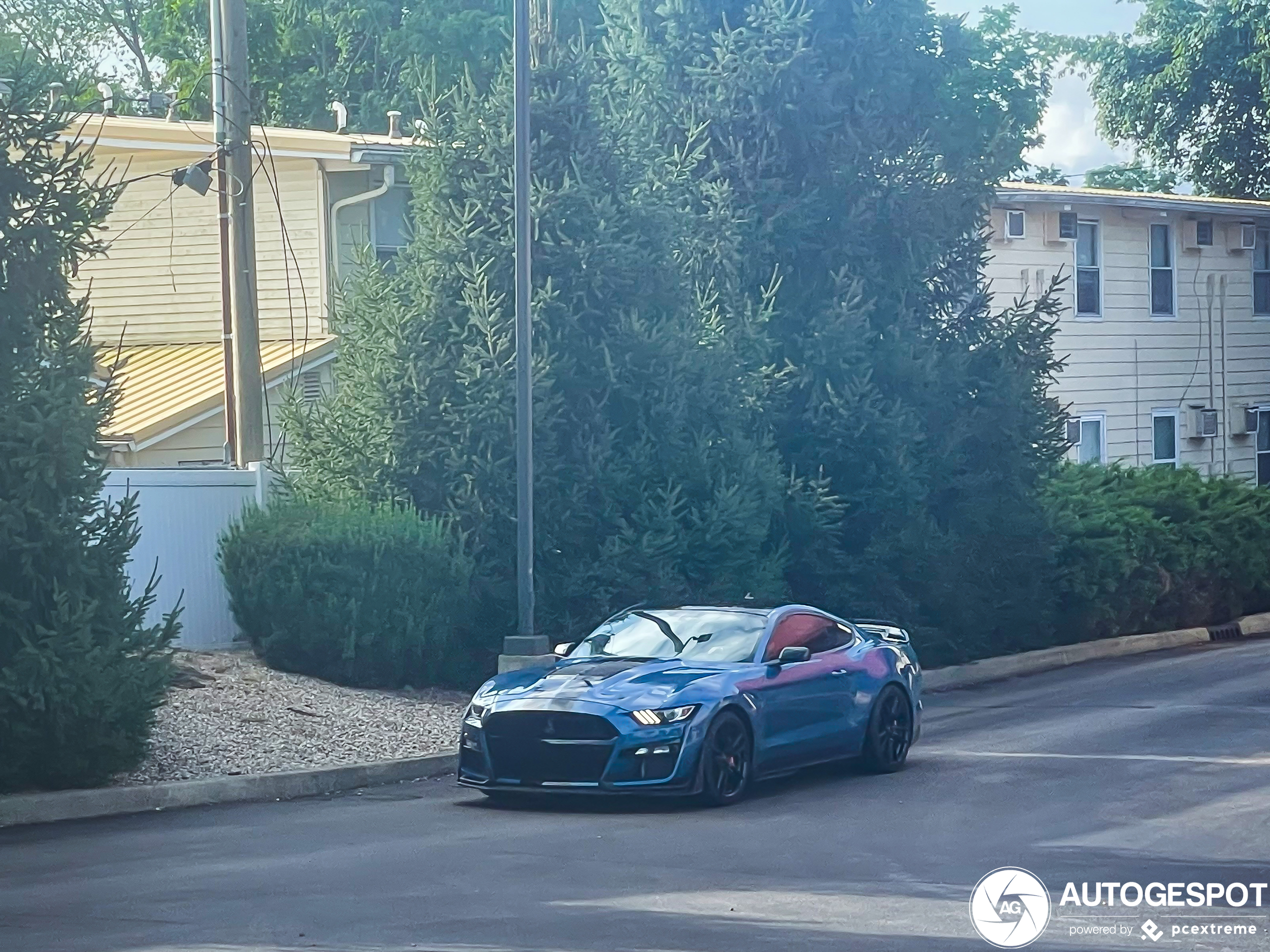 Ford Mustang Shelby GT500 2020