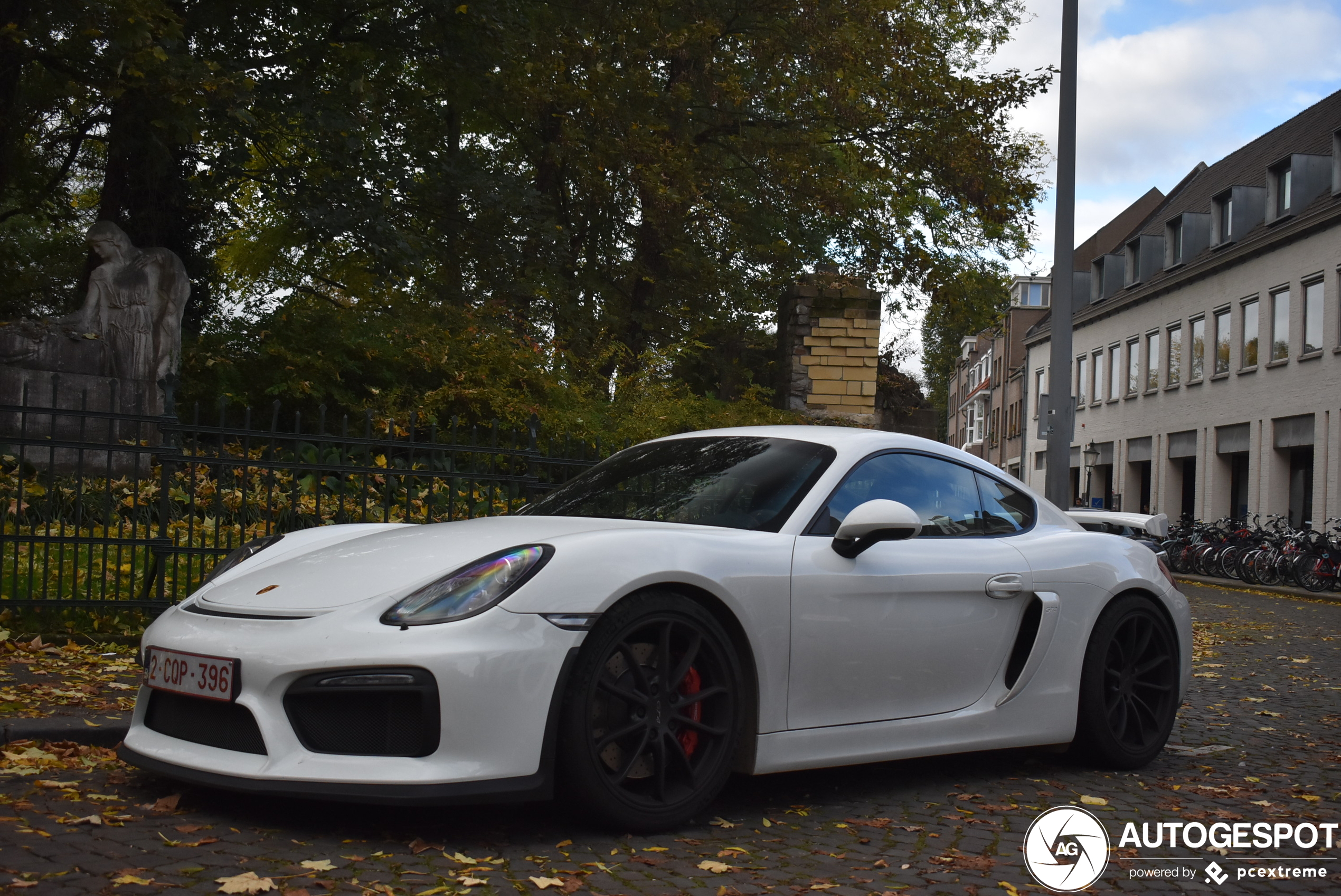 Porsche 981 Cayman GT4