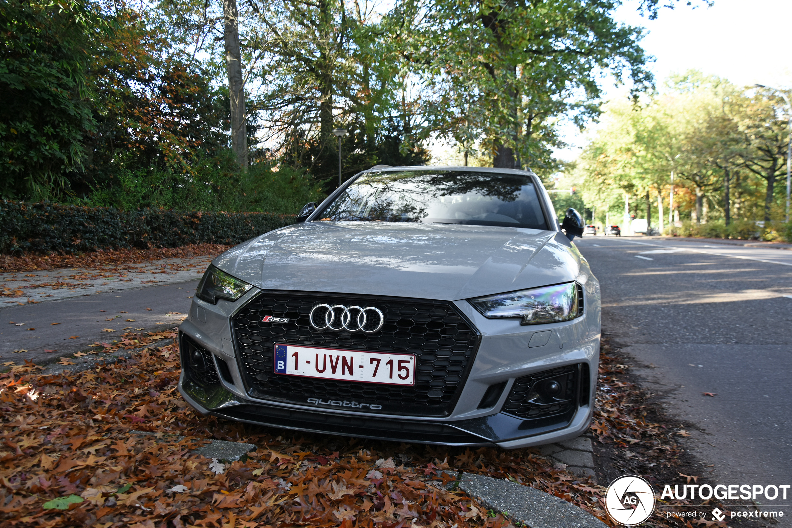 Audi RS4 Avant B9