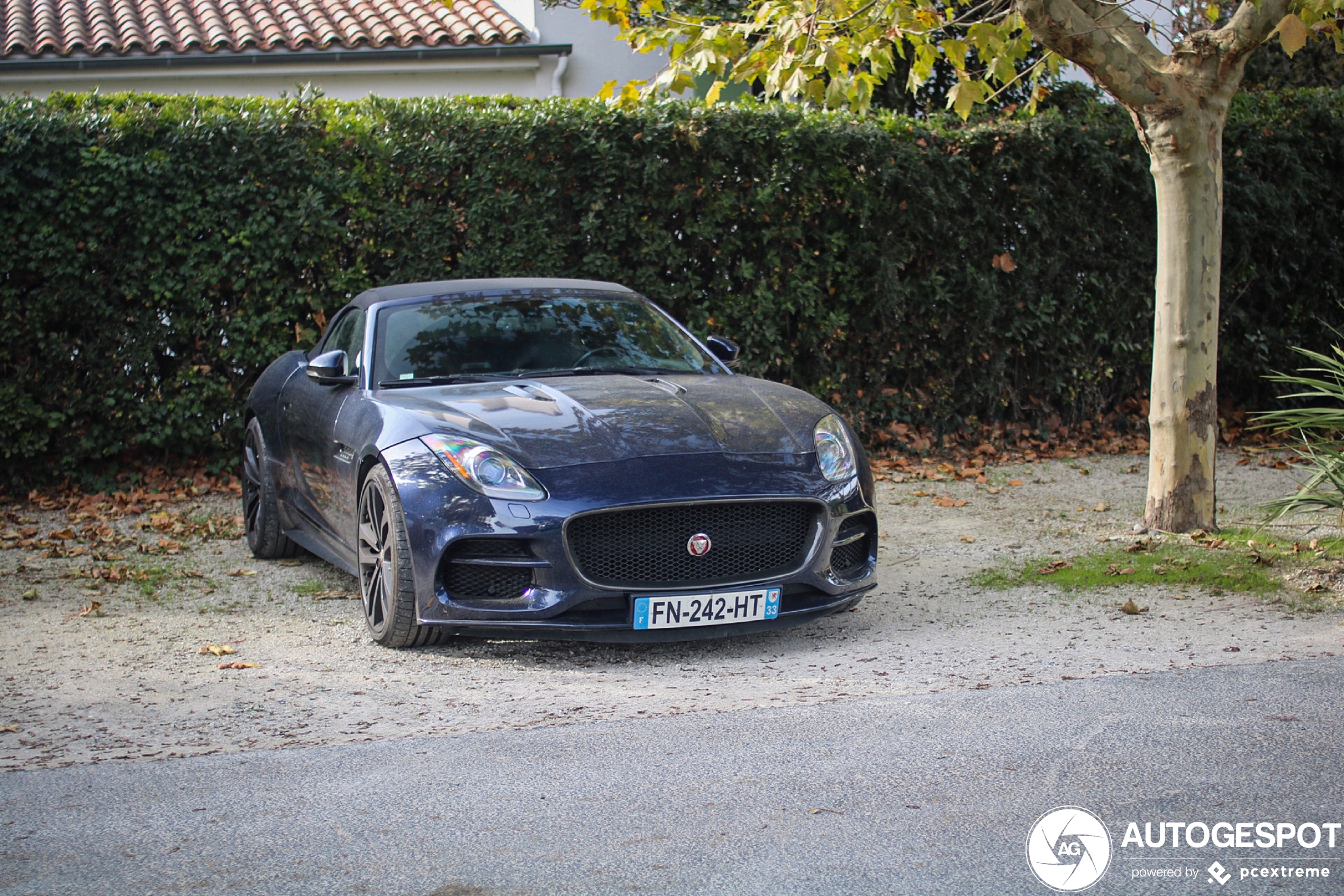 Jaguar F-TYPE R Convertible 2017