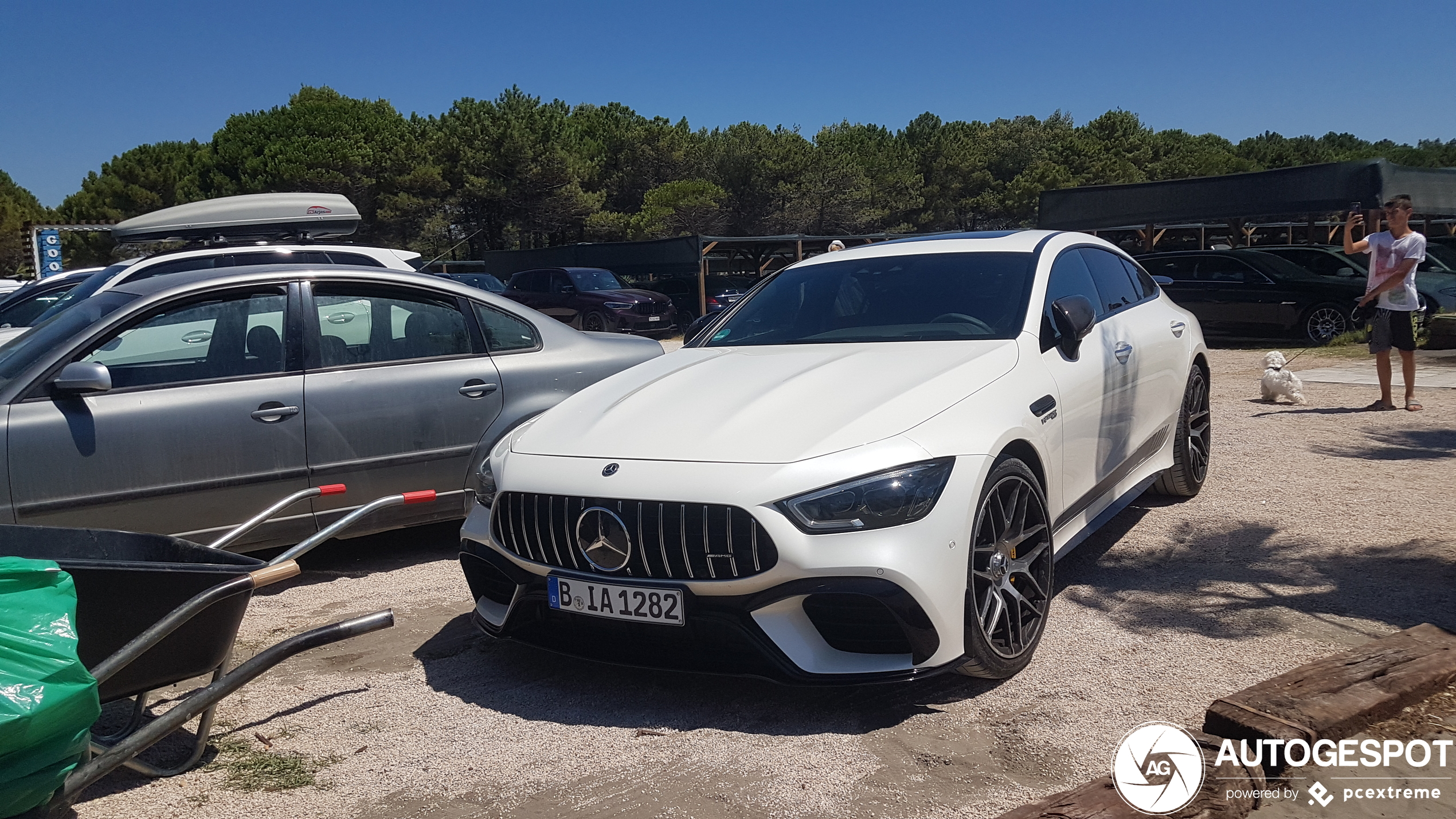 Mercedes-AMG GT 63 S Edition 1 X290