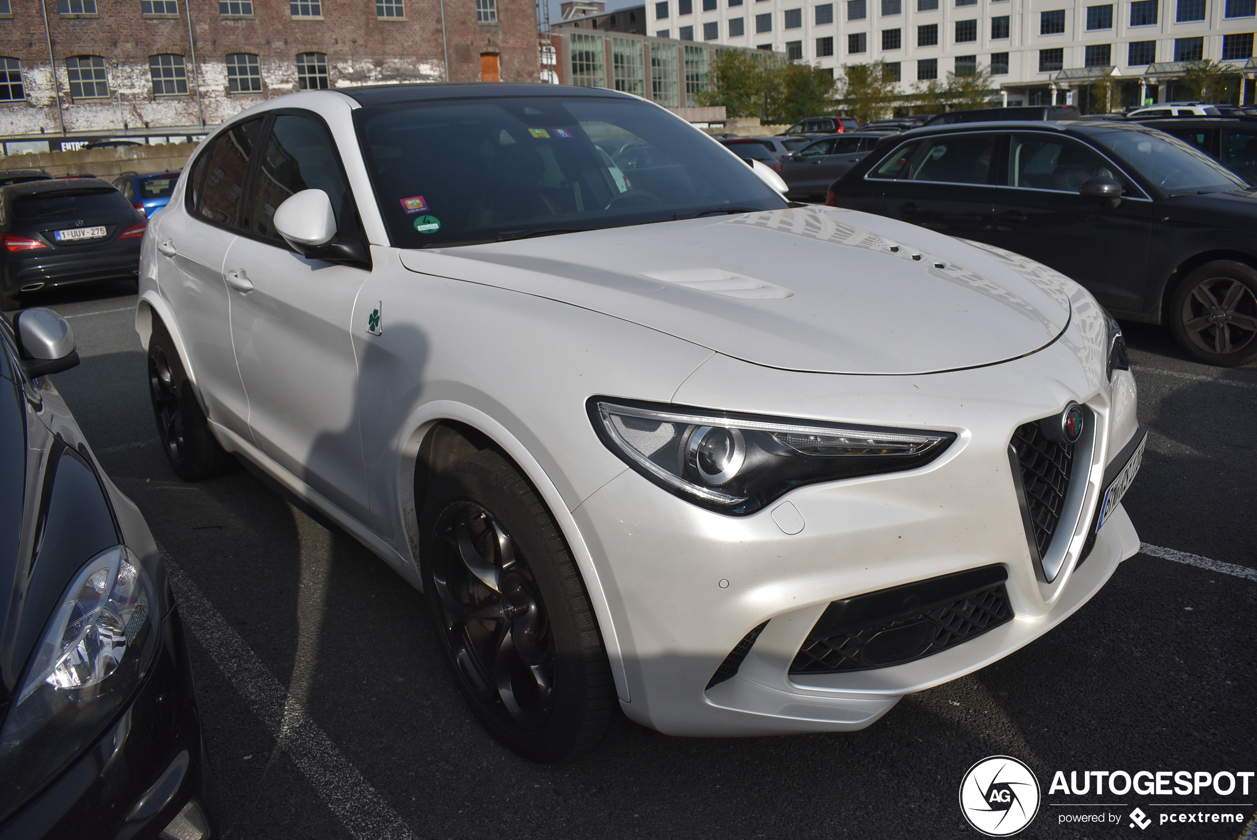 Alfa Romeo Stelvio Quadrifoglio