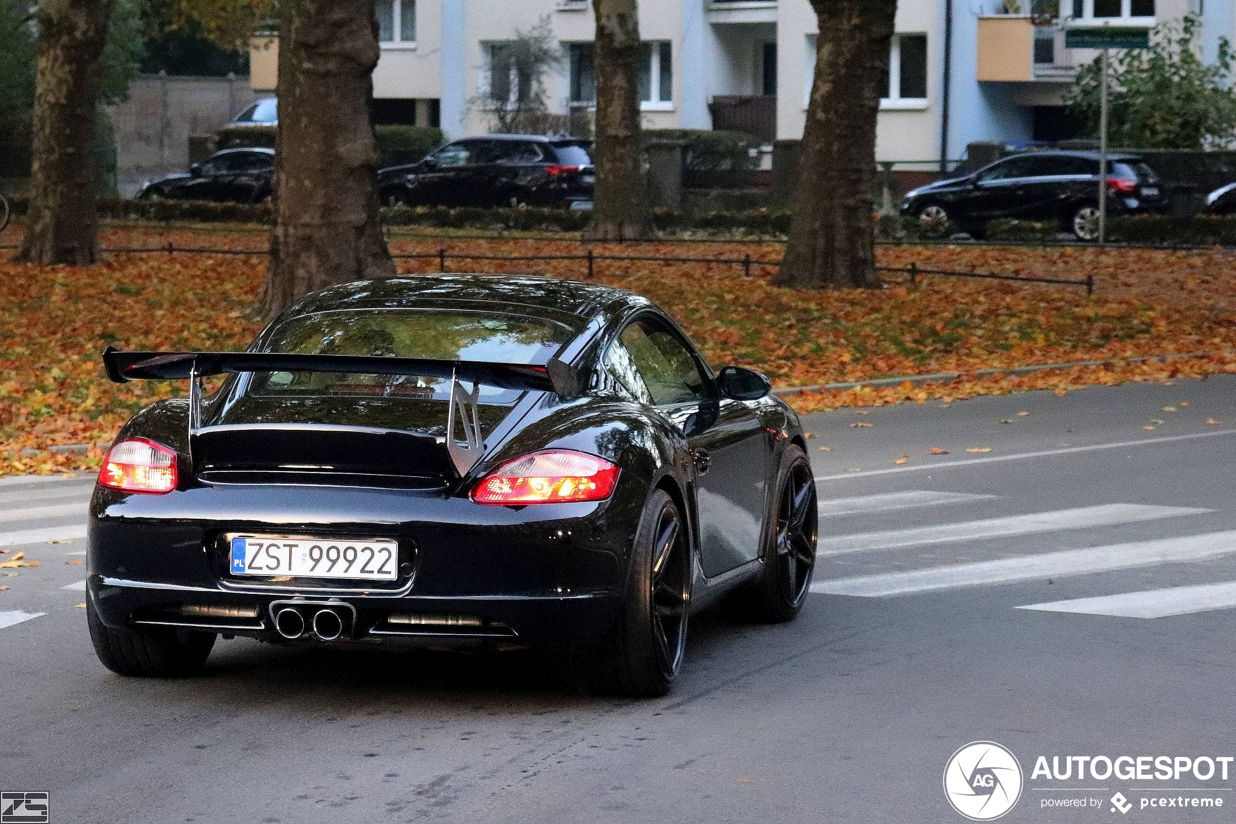 Porsche 987 Cayman S