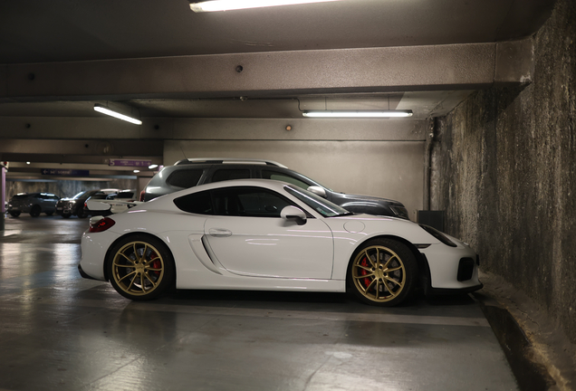 Porsche 981 Cayman GT4