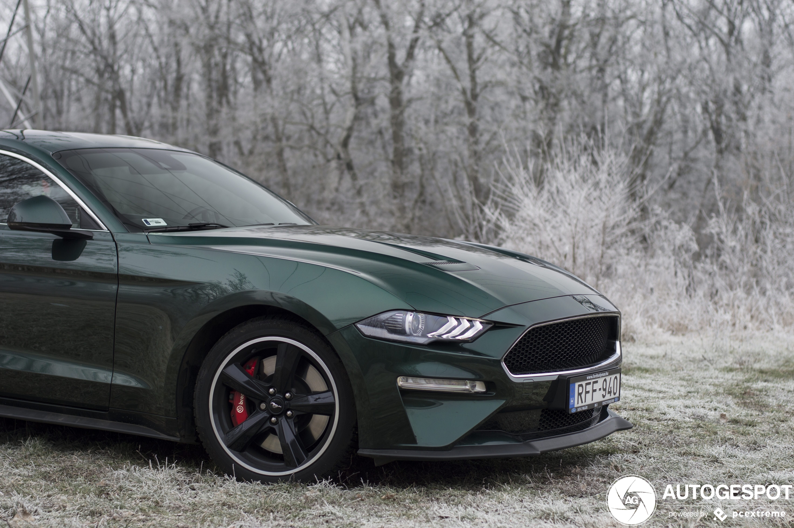 Ford Mustang Bullitt 2019