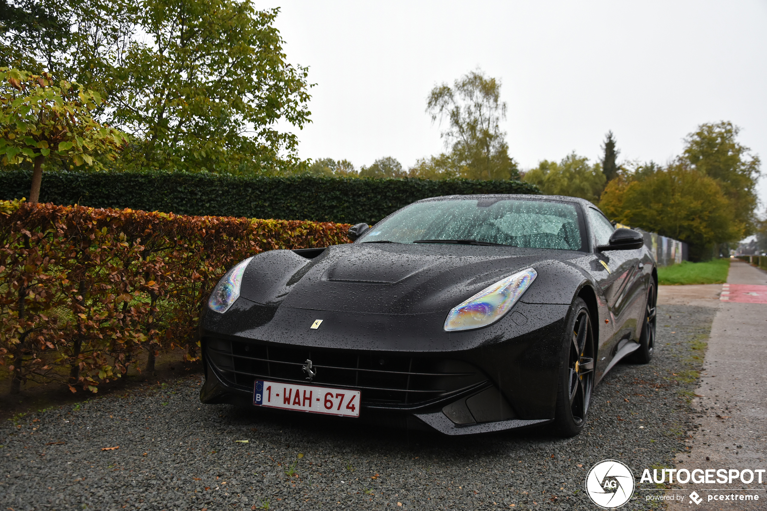 Ferrari F12berlinetta