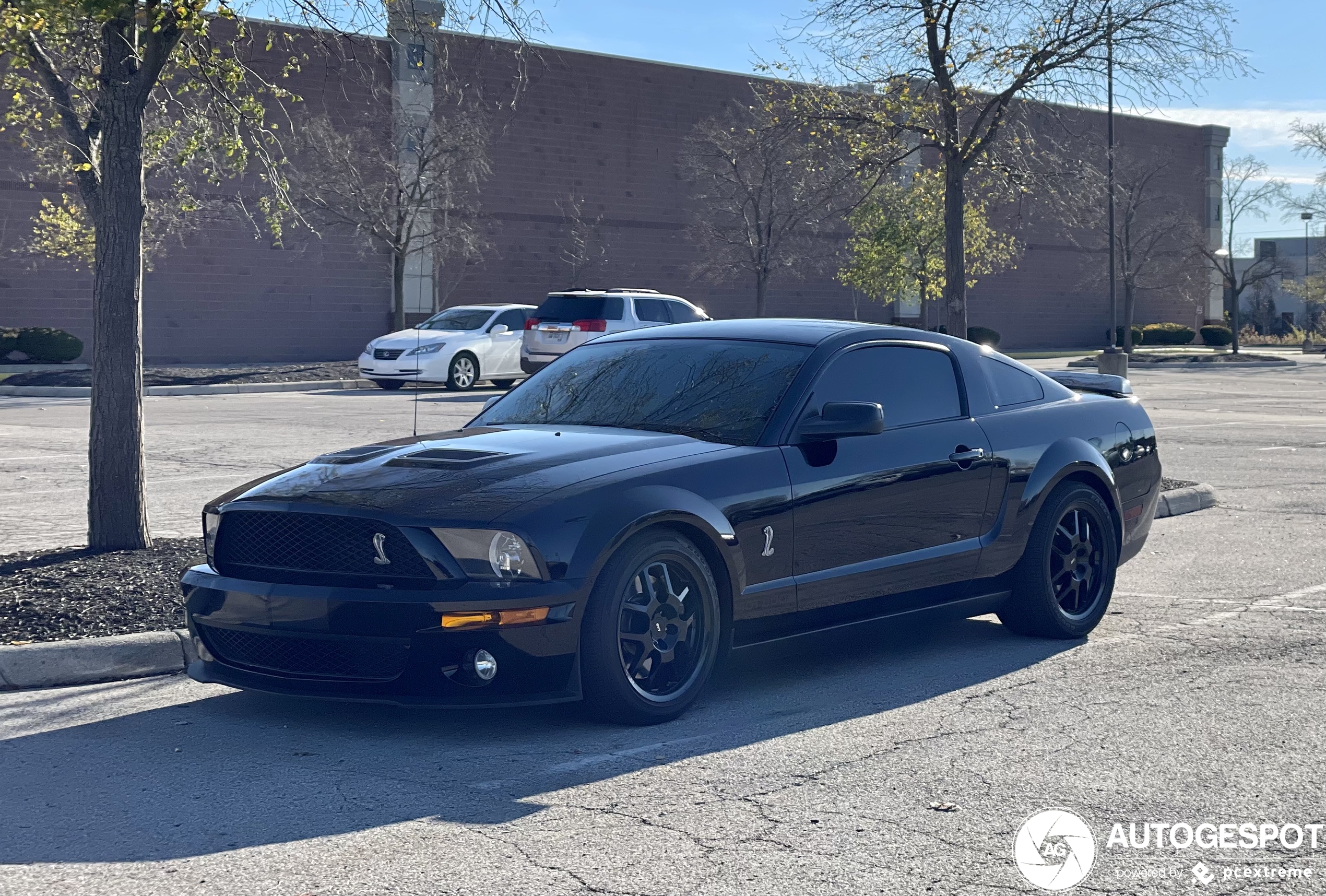 Ford Mustang Shelby GT500