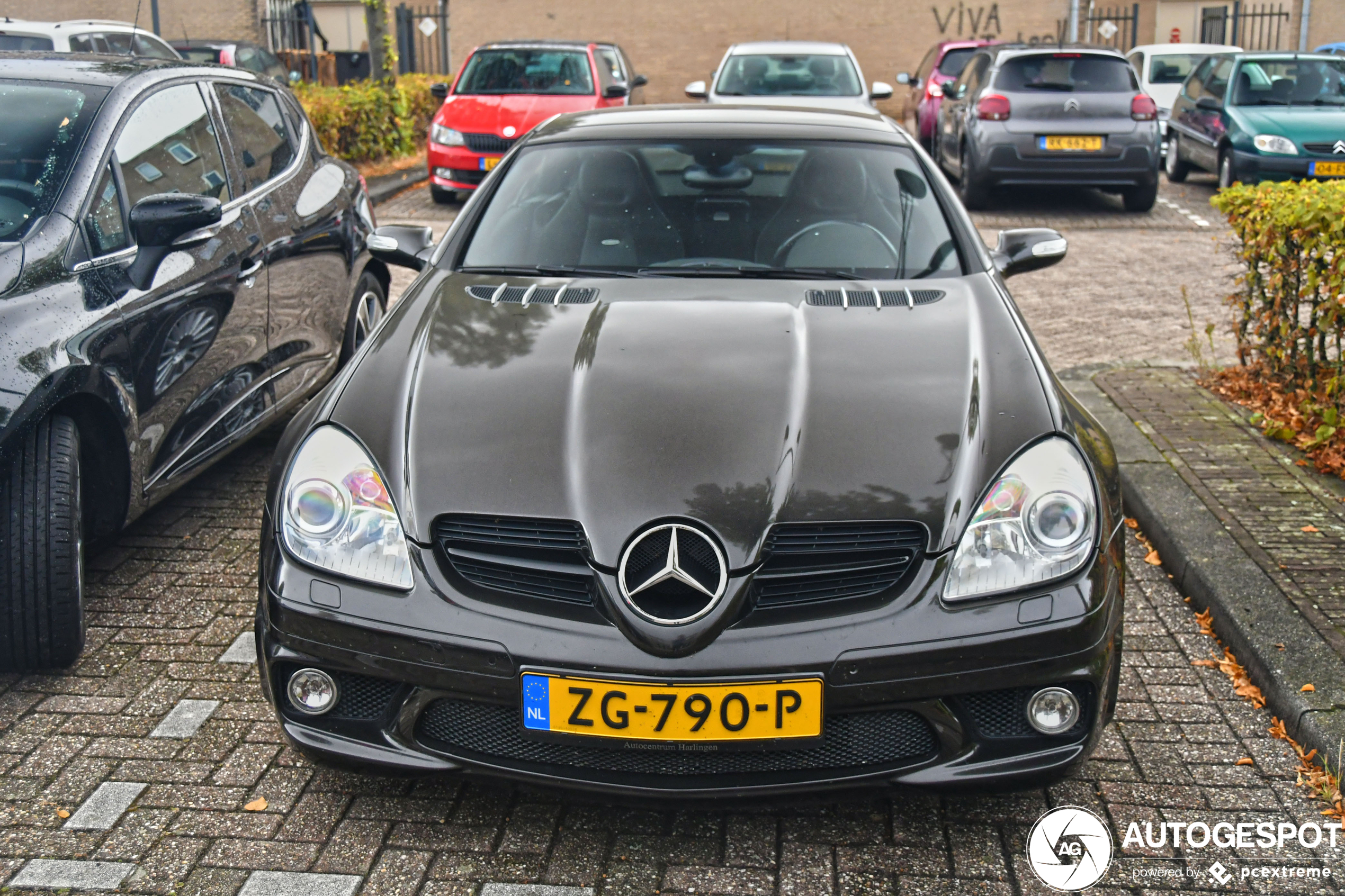 Mercedes-Benz SLK 55 AMG R171 2007