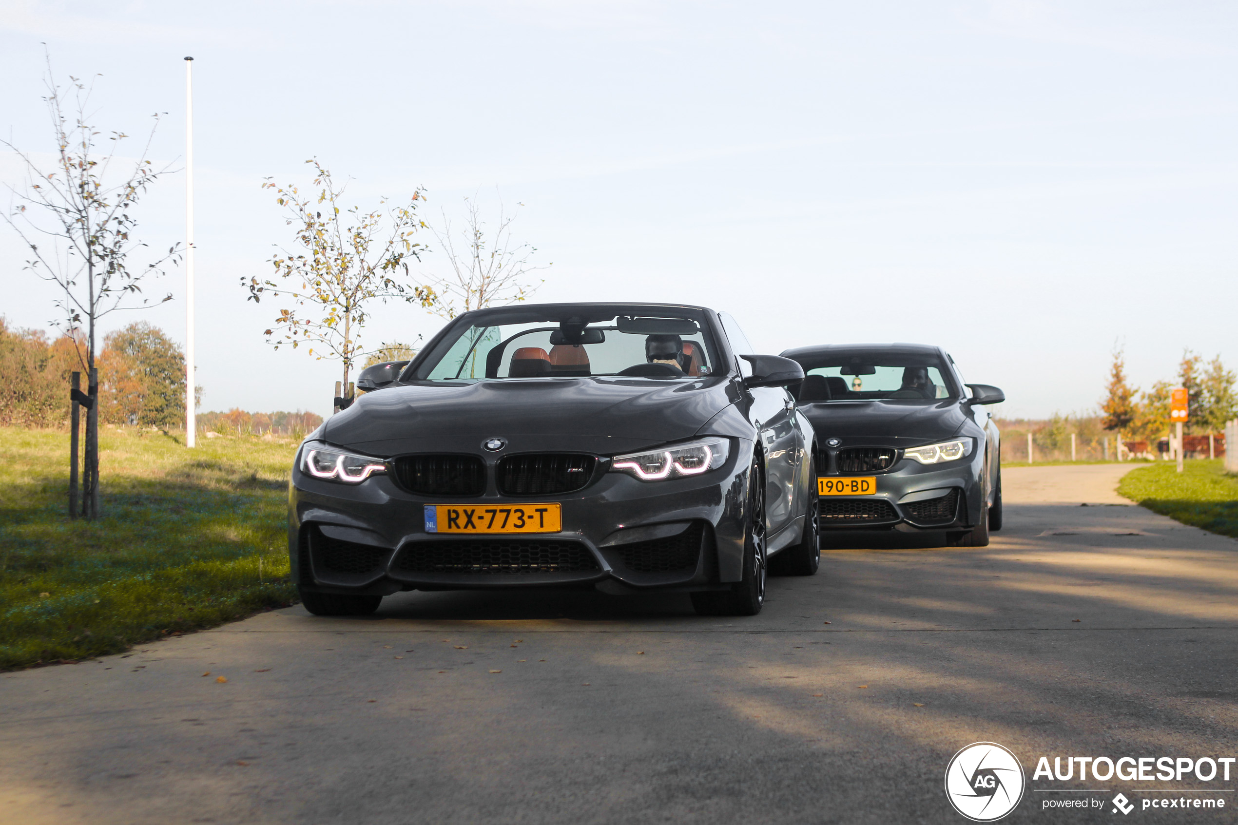 BMW M4 F83 Convertible