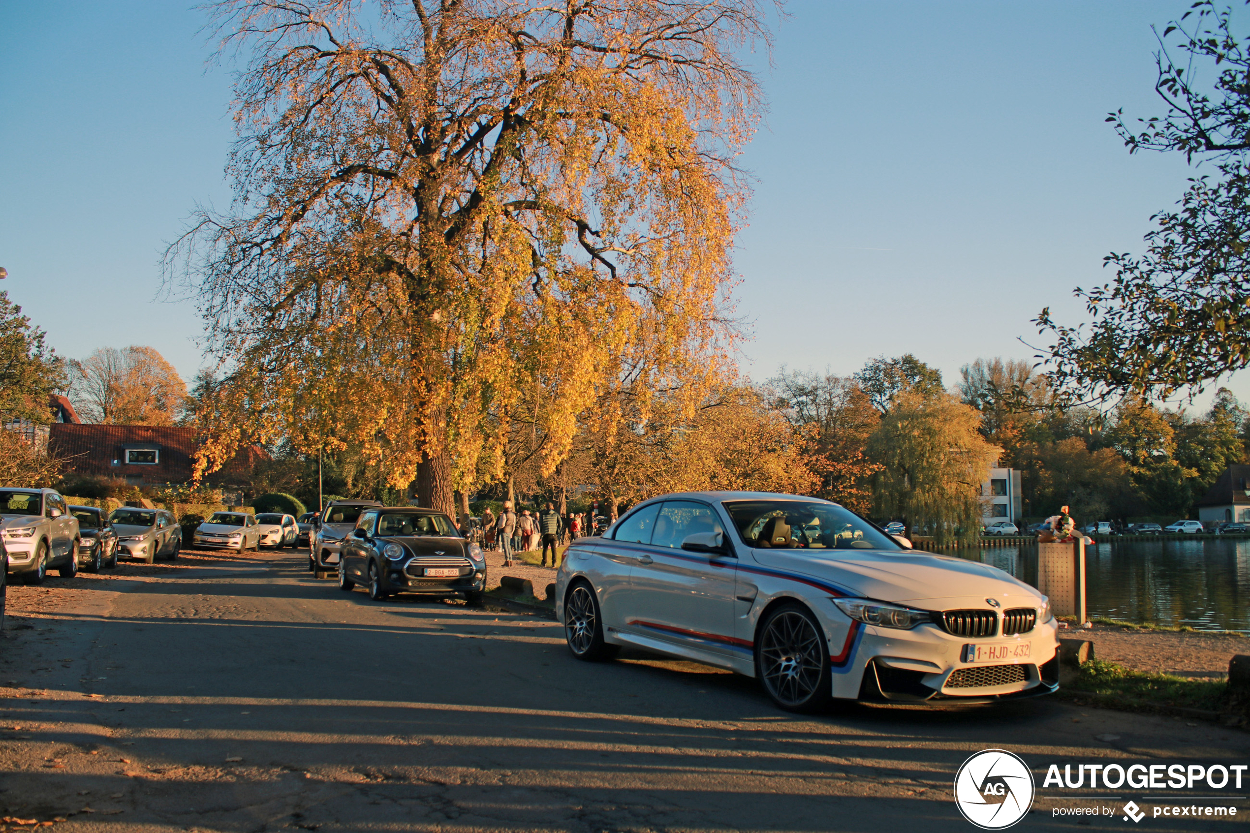 BMW M4 F83 Convertible