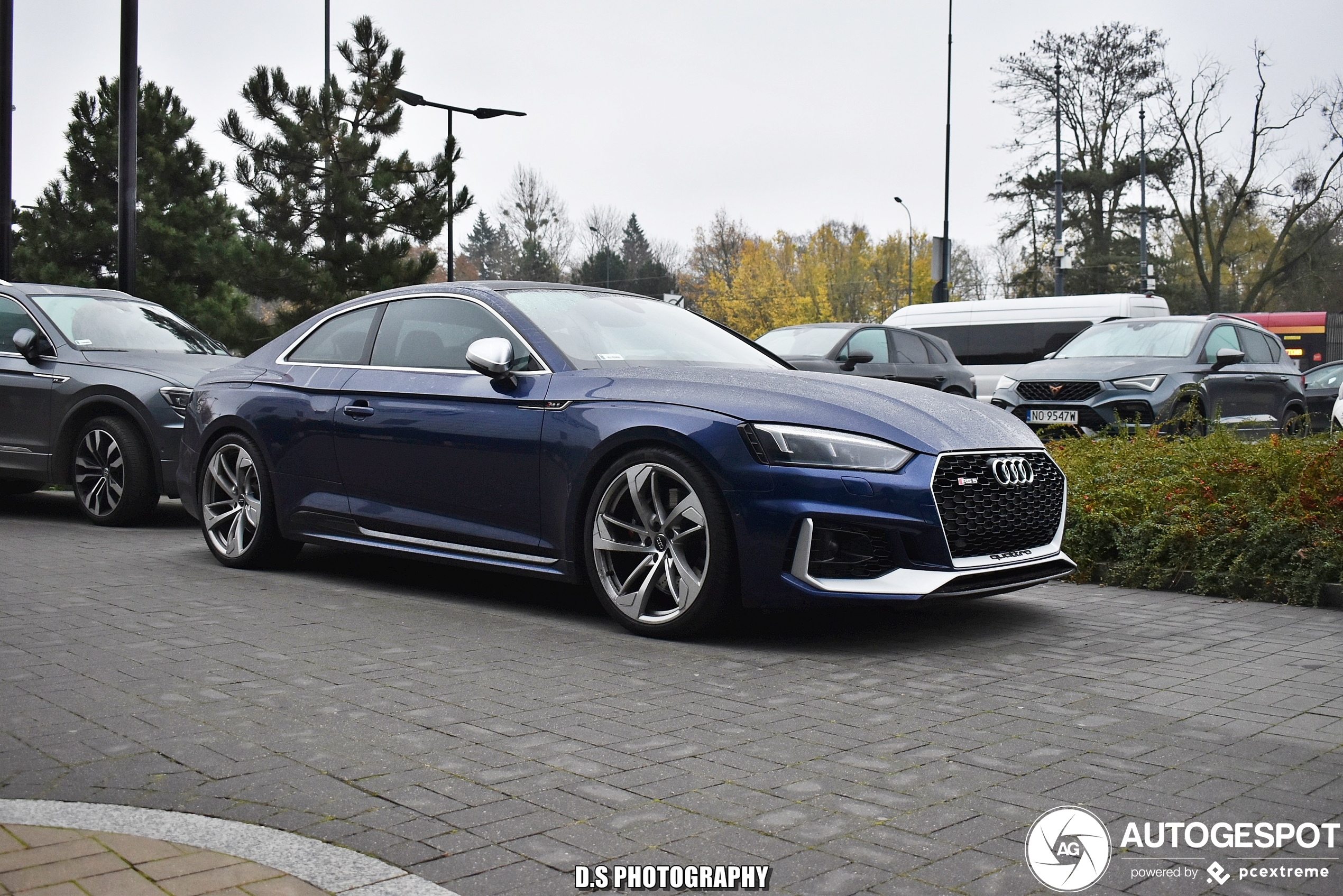 Audi RS5 B9