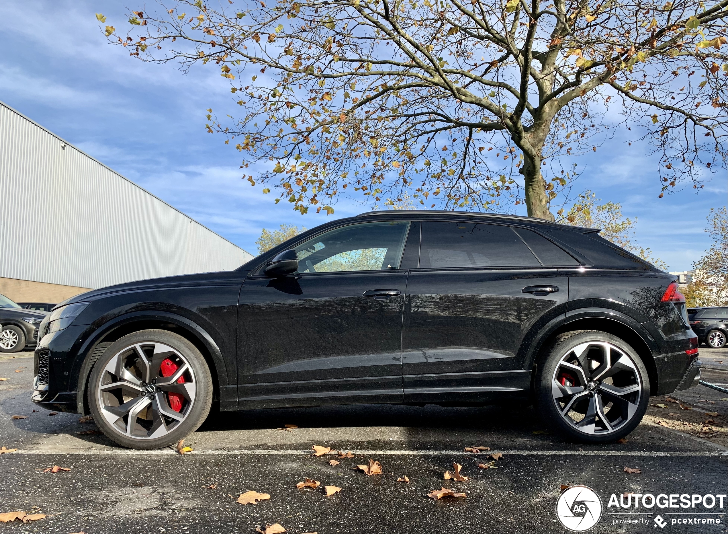 Audi RS Q8